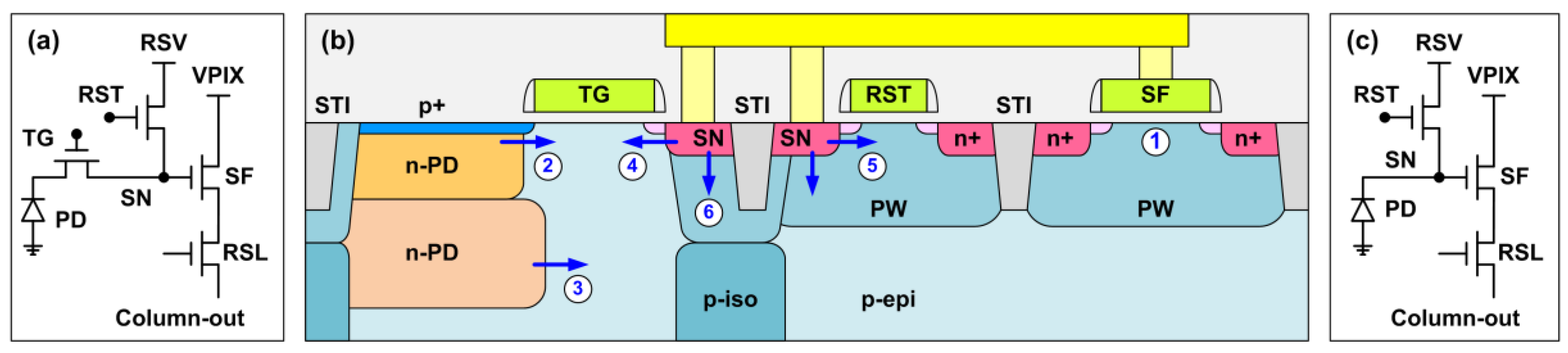 Sensors 19 05447 g003