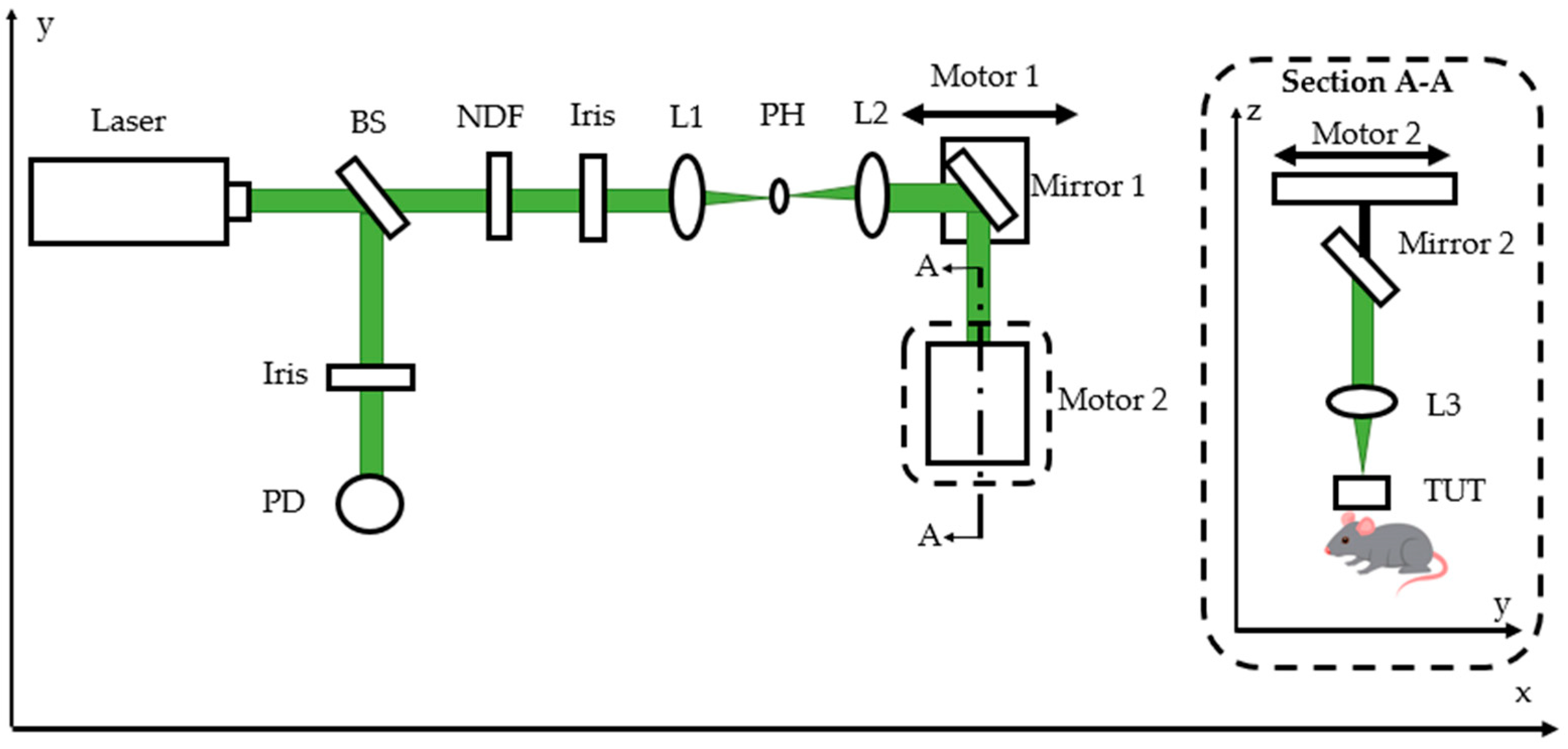 Sensors 19 05470 g002 Sensors 19 05470 g002