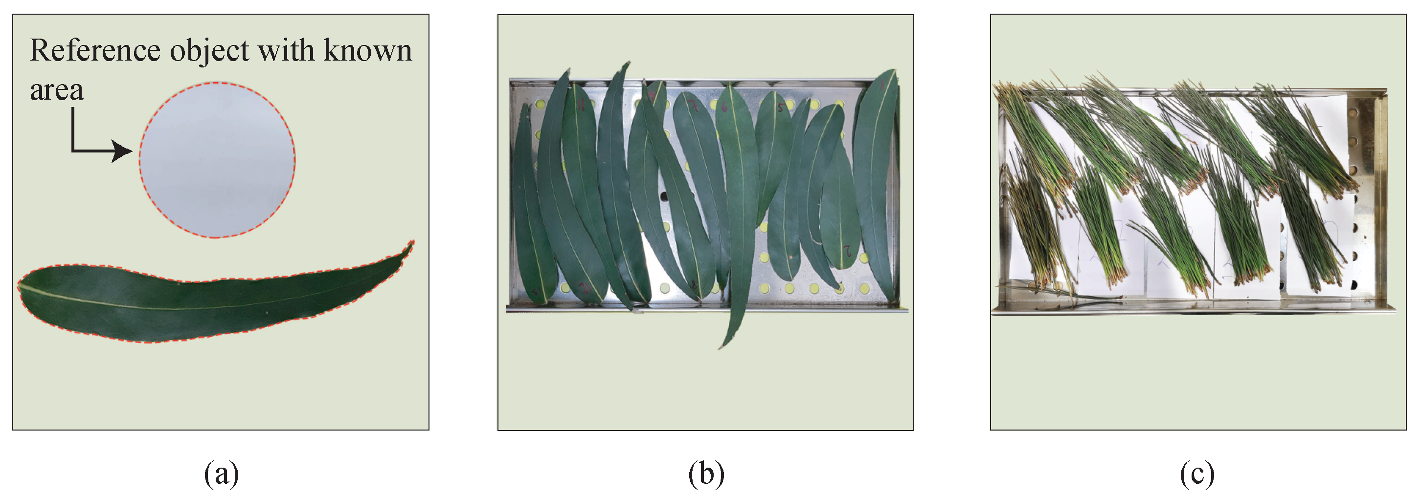 Sensors 19 05475 g003 Sensors 19 05475 g003