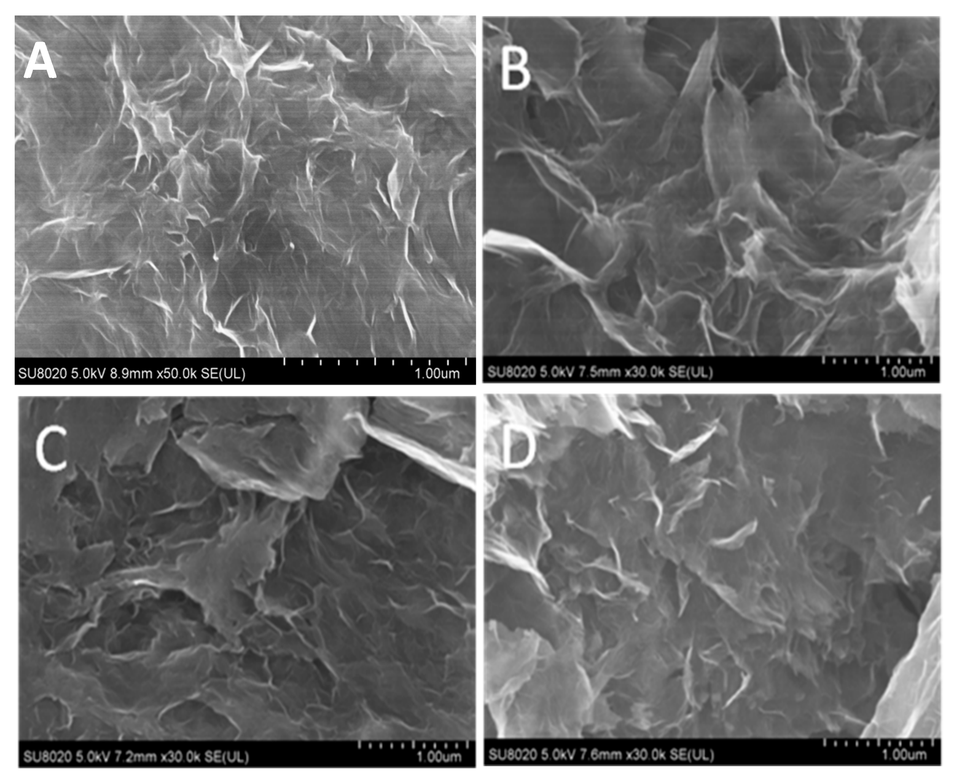 Sensors 19 05483 g001