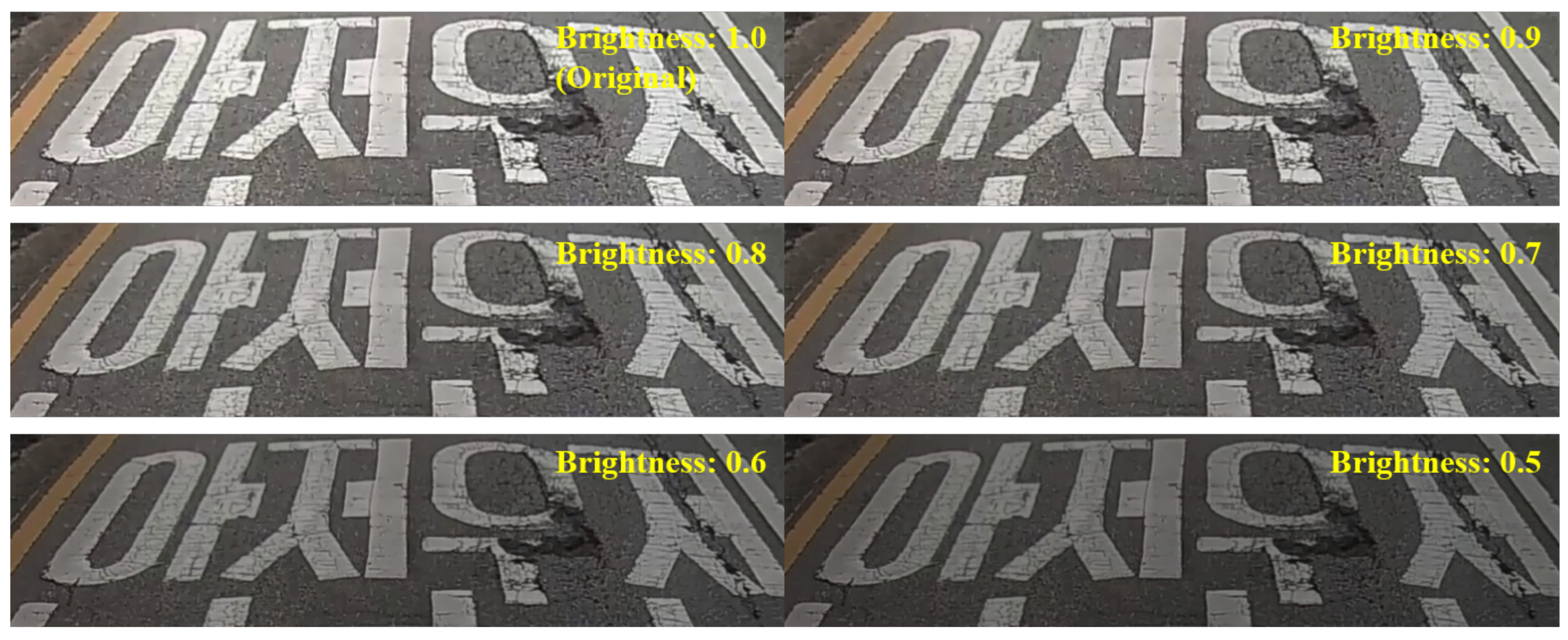 Sensors 19 05501 g005 Sensors 19 05501 g005