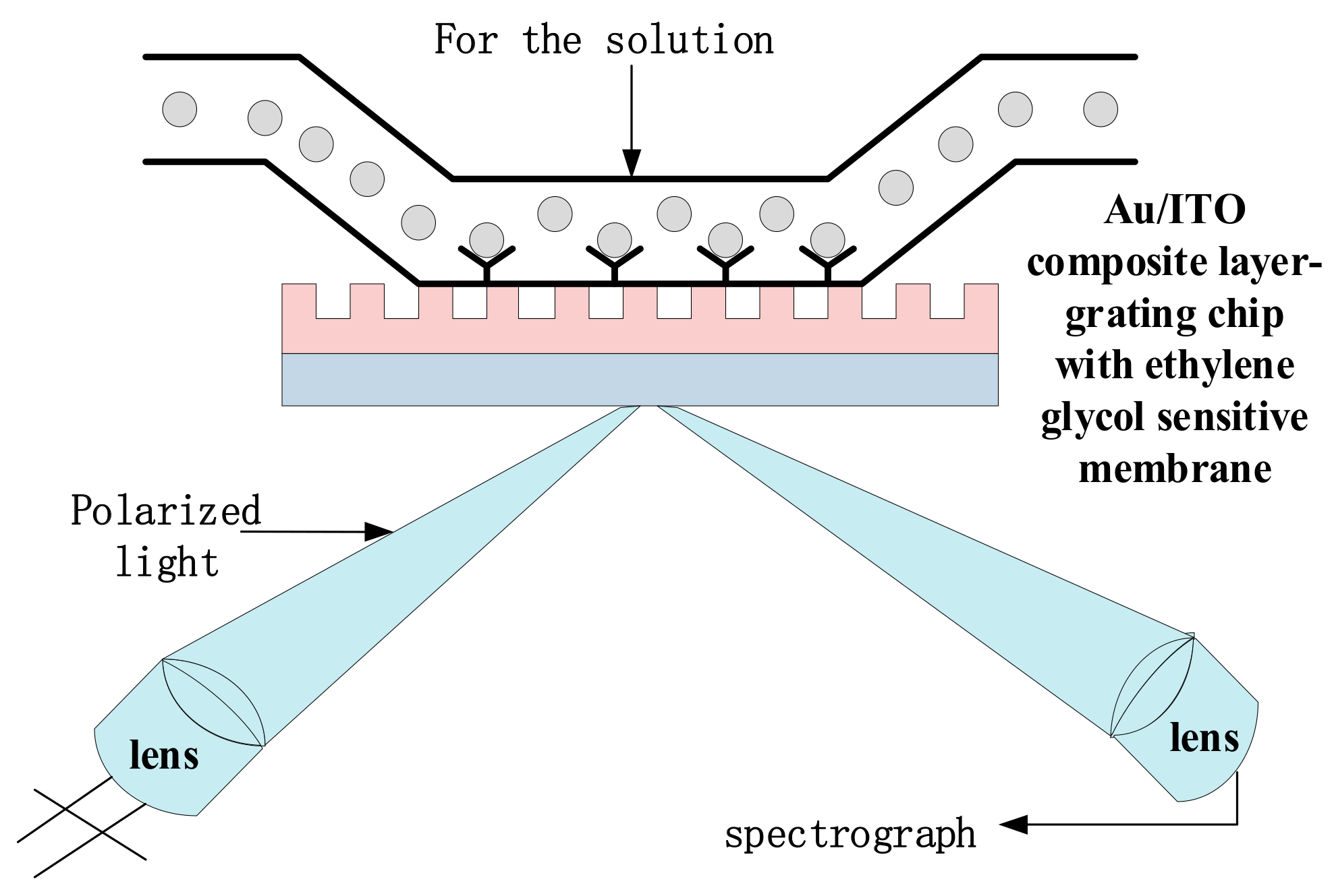 Sensors 19 05502 g002 Sensors 19 05502 g002
