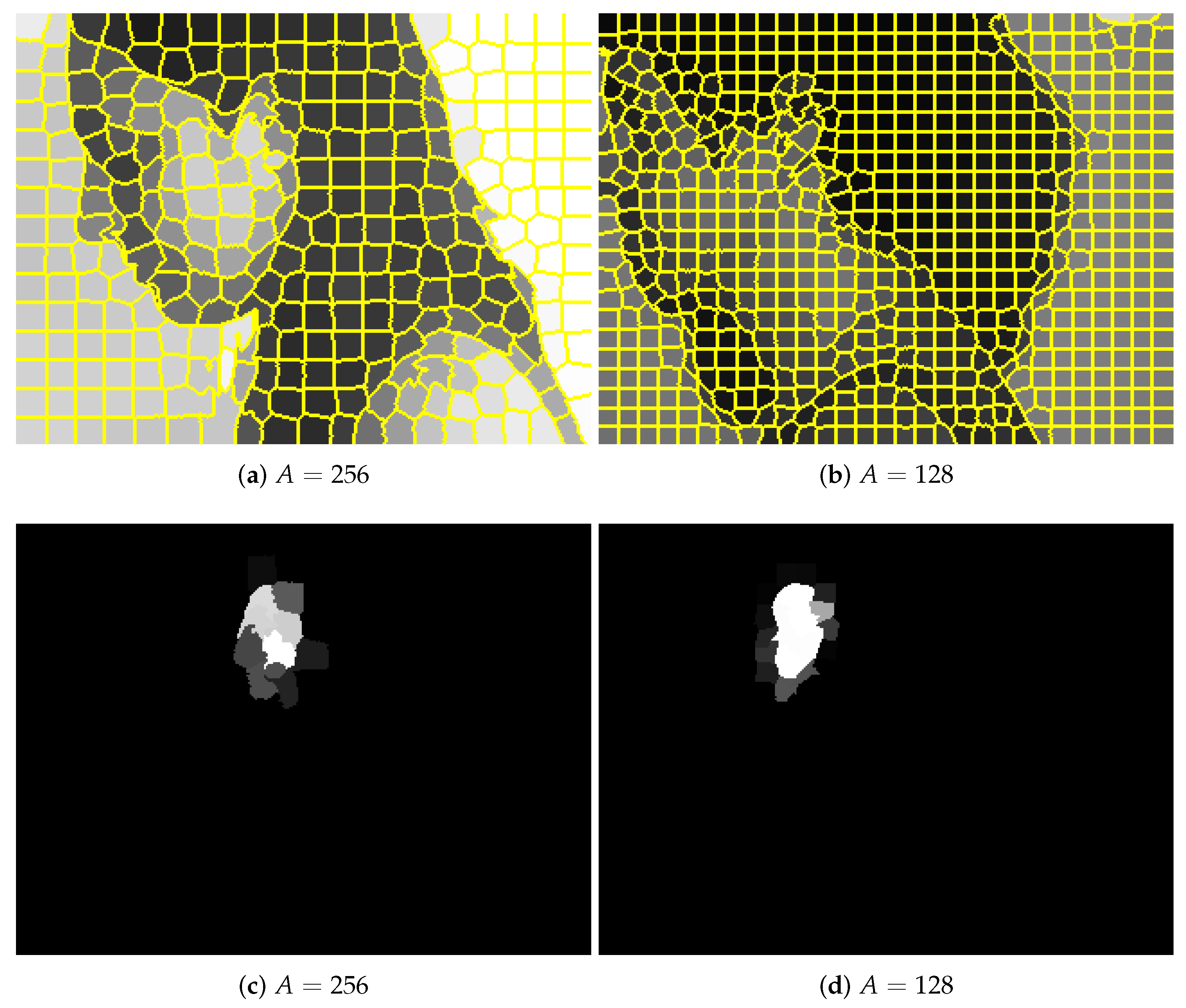 Sensors 19 05510 g003