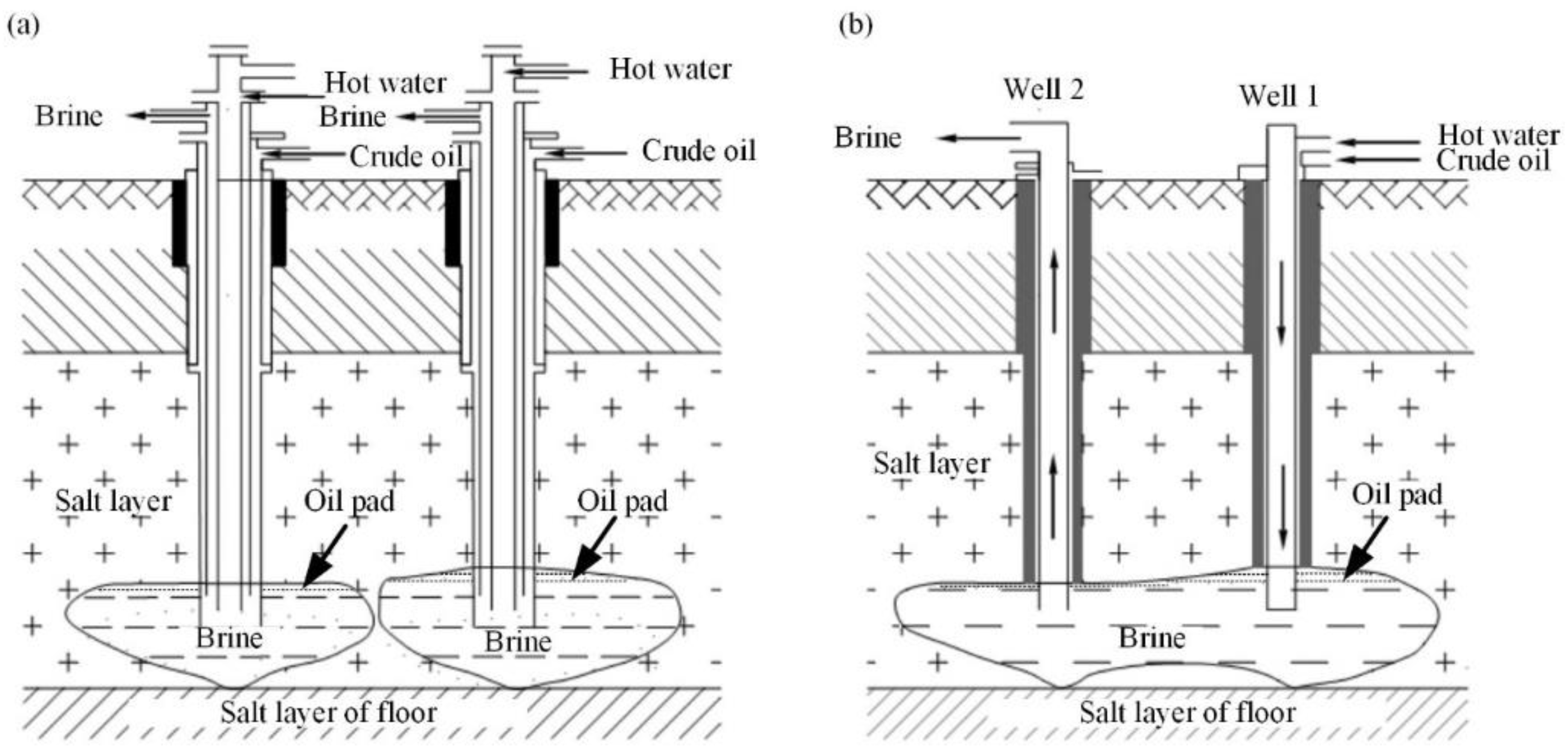 Sensors 19 05511 g001