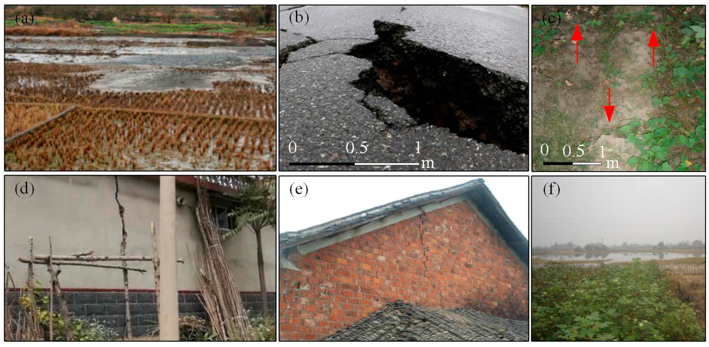 Sensors 19 05511 g004