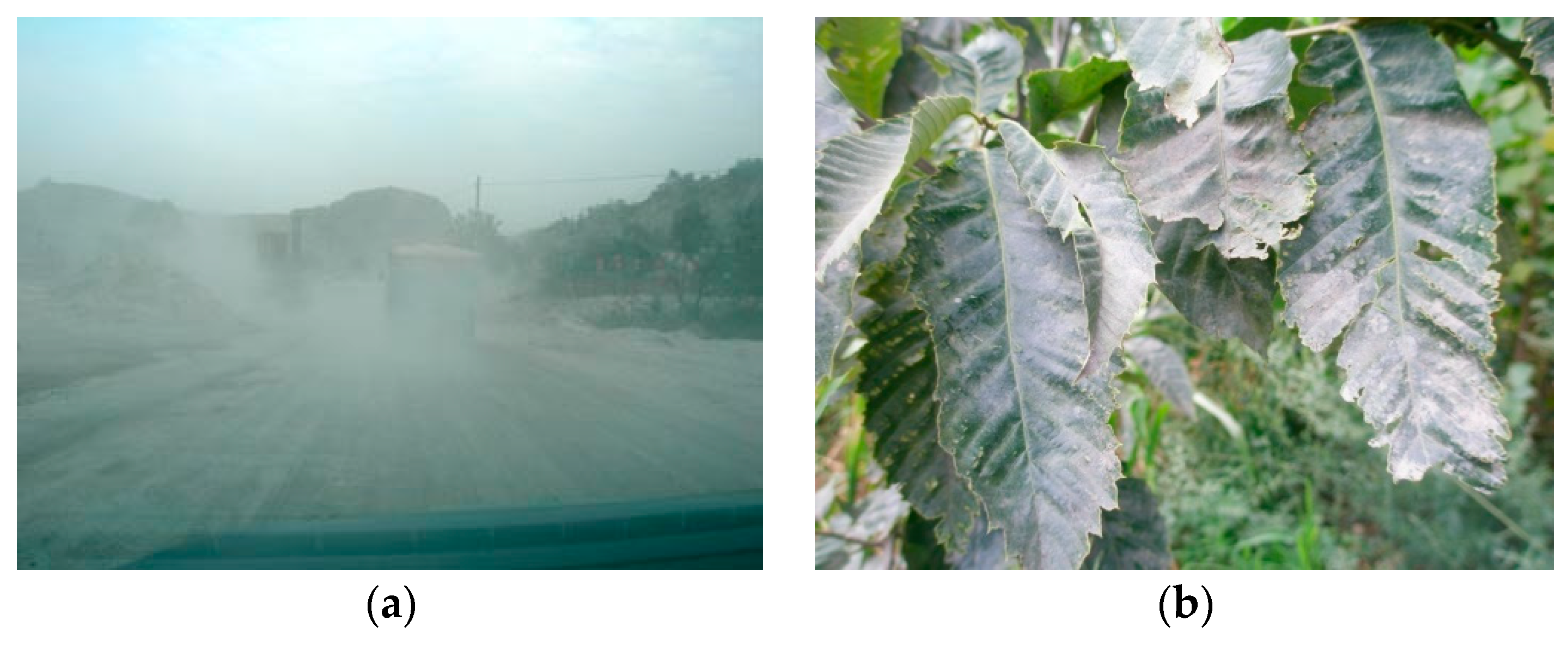 Sensors 19 05530 g001