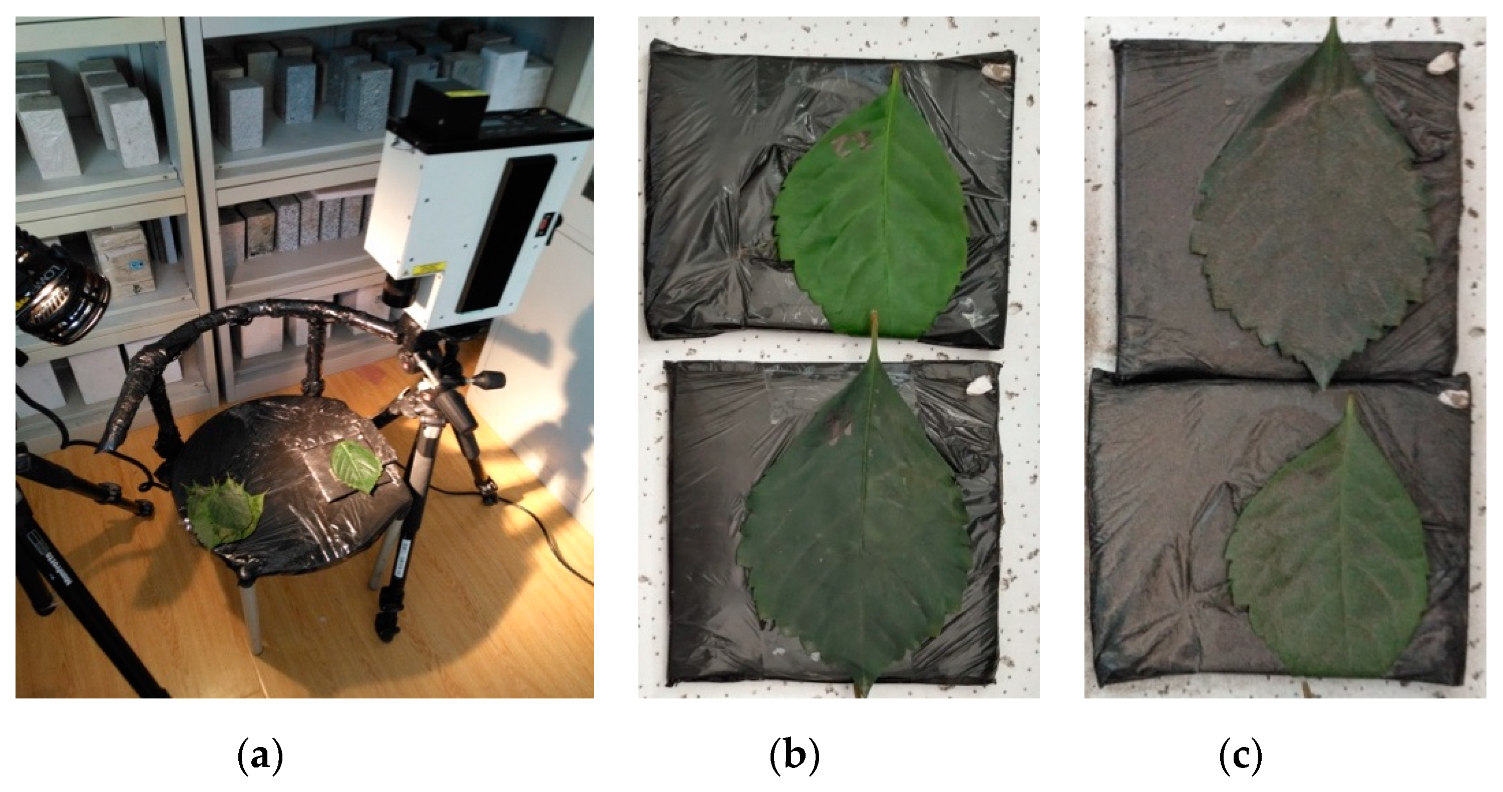 Sensors 19 05530 g004