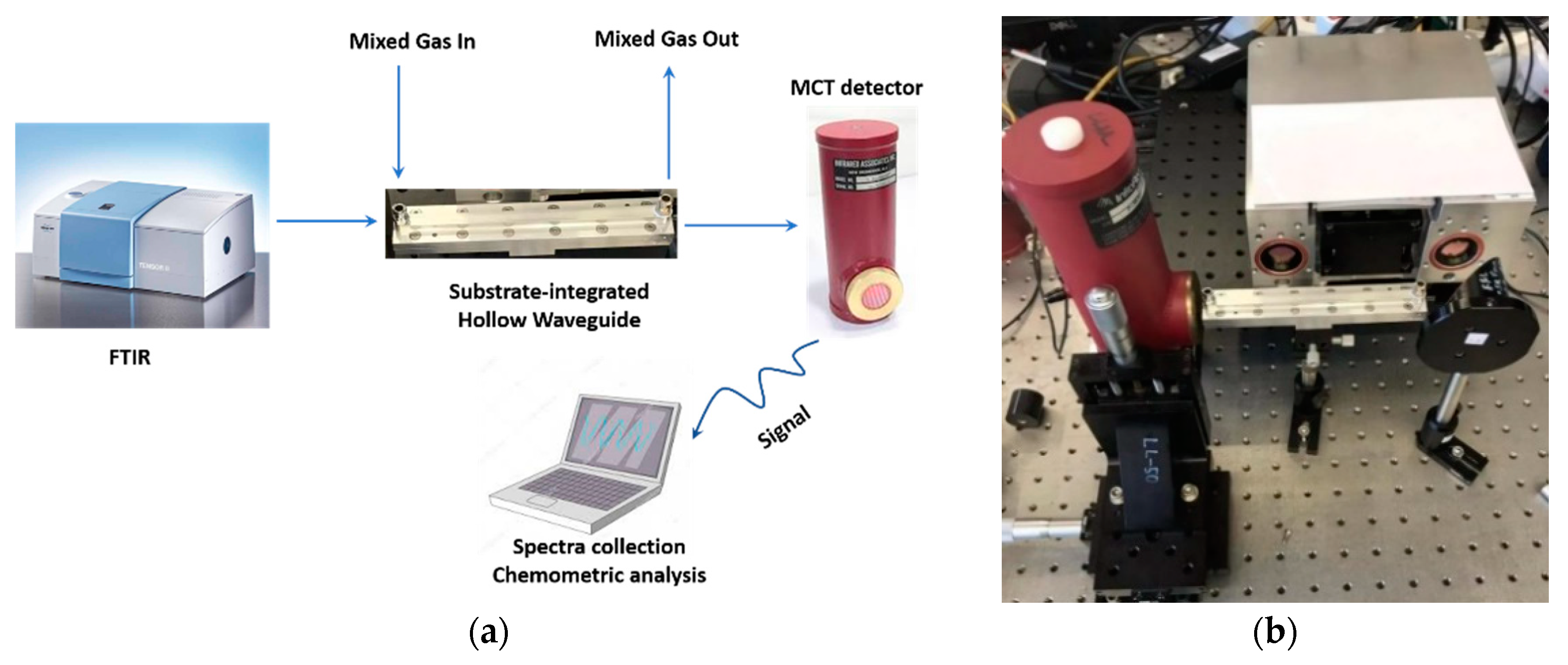Sensors 19 05535 g006