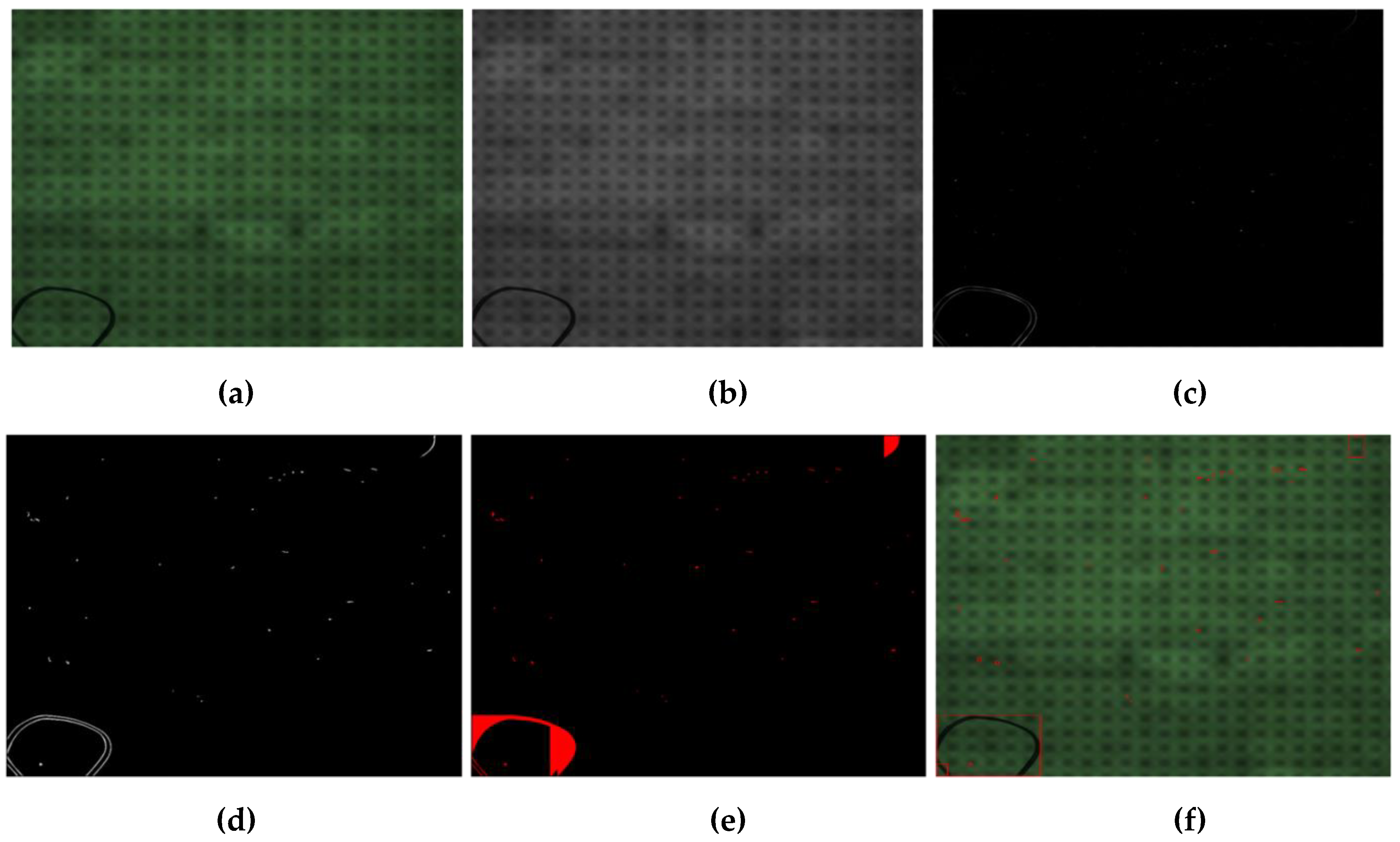 Sensors 19 05538 g006