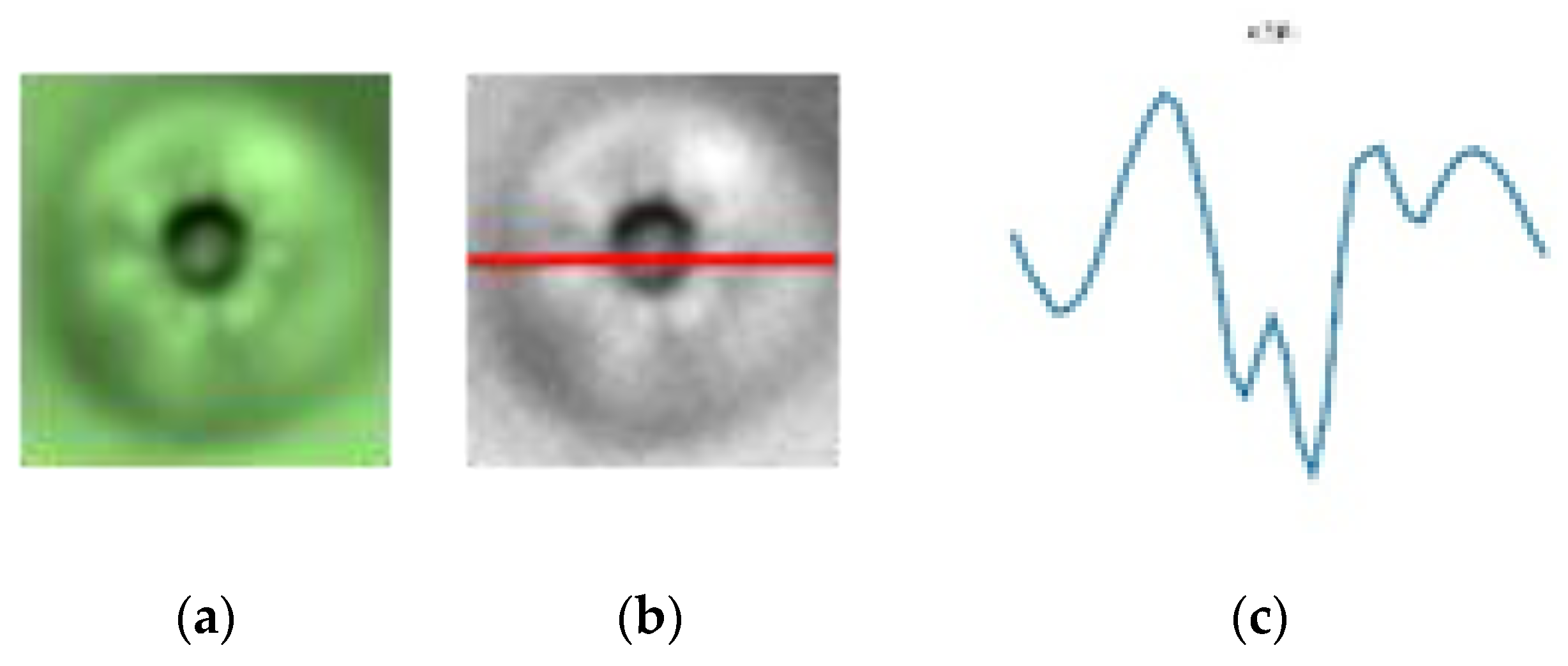 Sensors 19 05538 g010