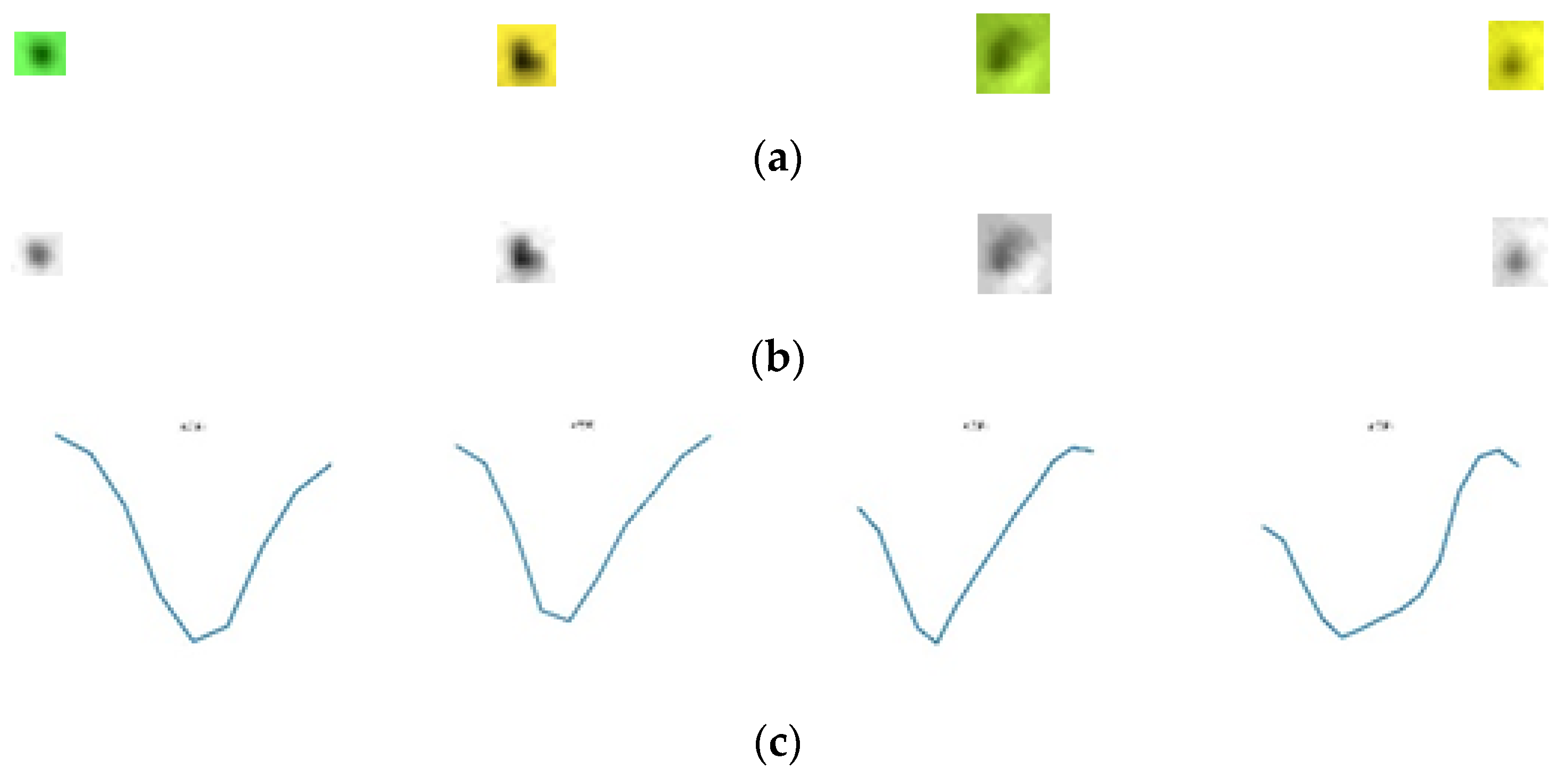 Sensors 19 05538 g011