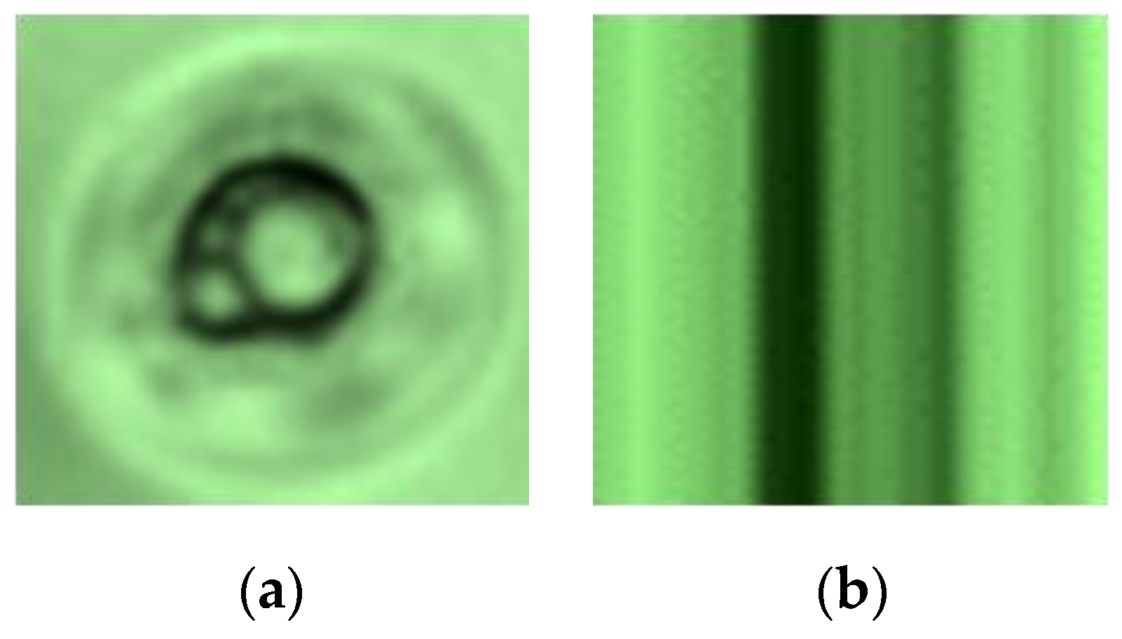 Sensors 19 05538 g014
