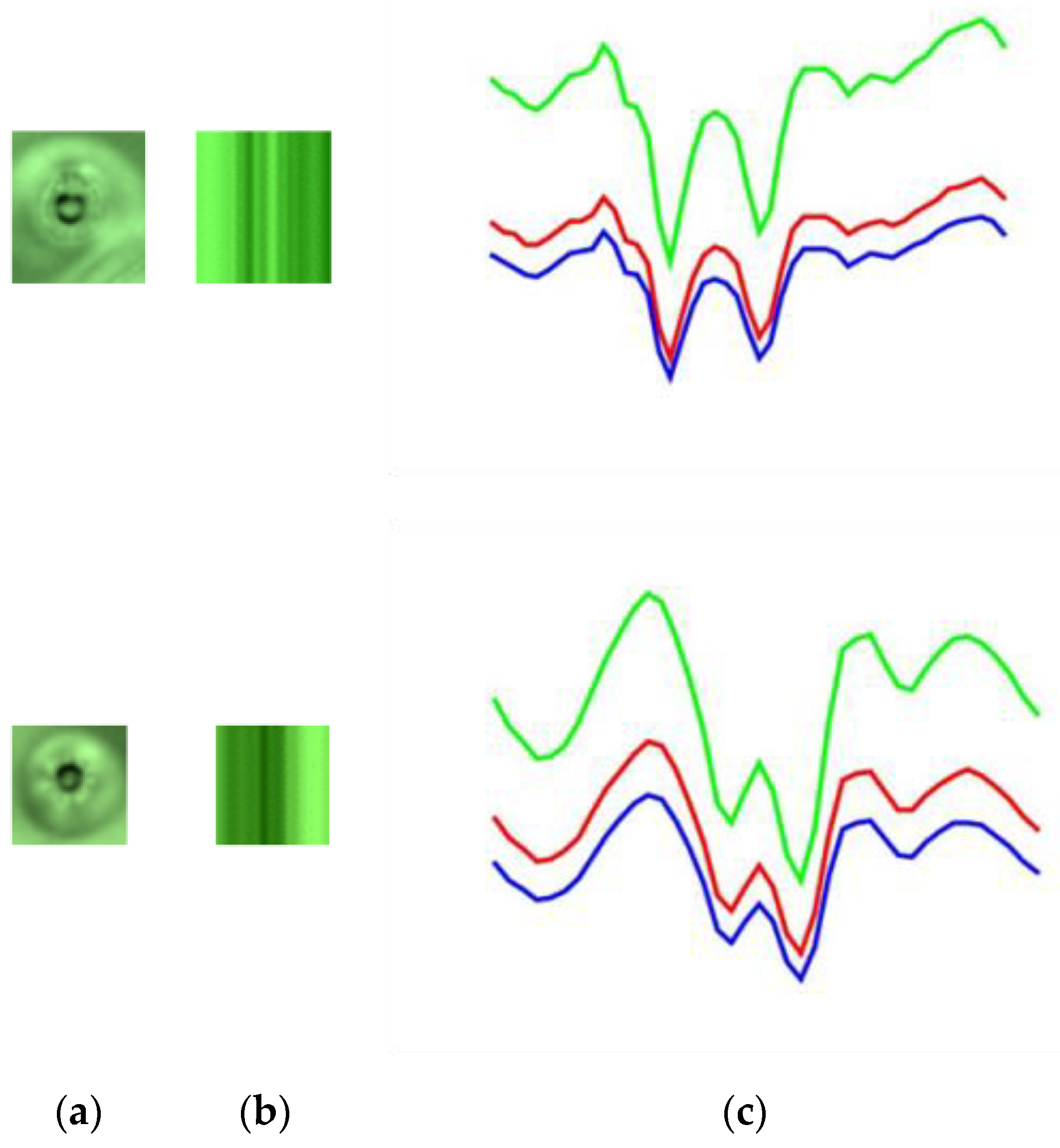 Sensors 19 05538 g016