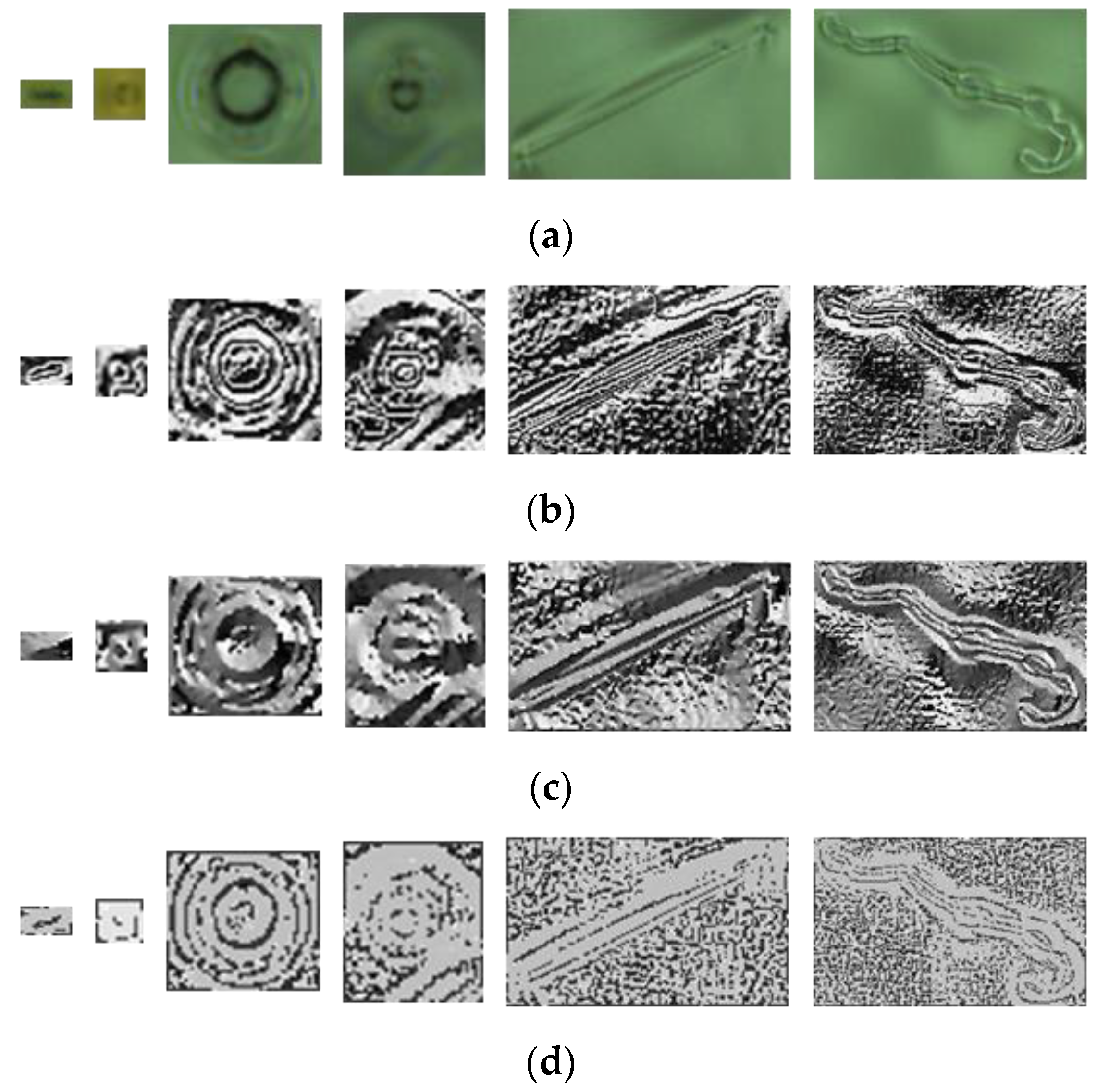 Sensors 19 05538 g019