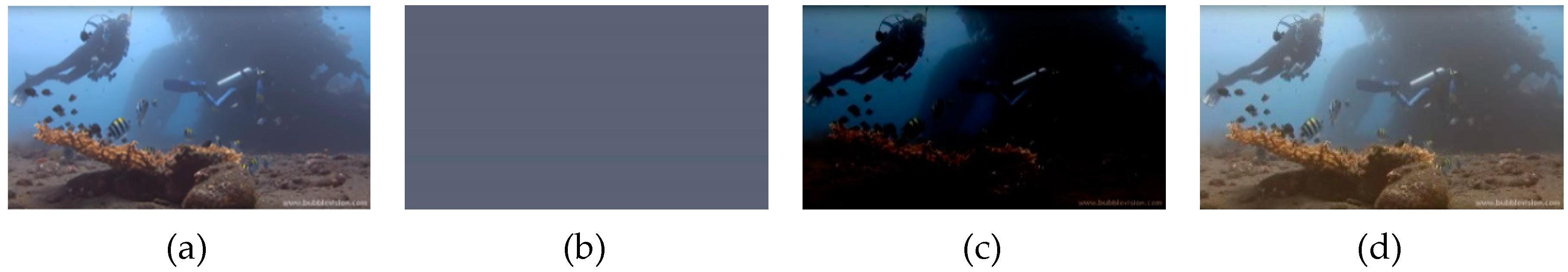 Sensors 19 05567 g004