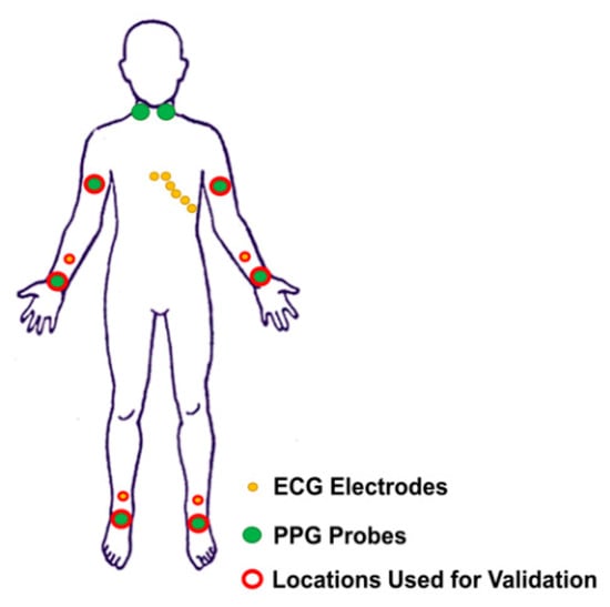 Sensors Special Issue Flexible And Stretchable Electronic Sensors Sensors Special Issue Flexible And Stretchable Electronic Sensors