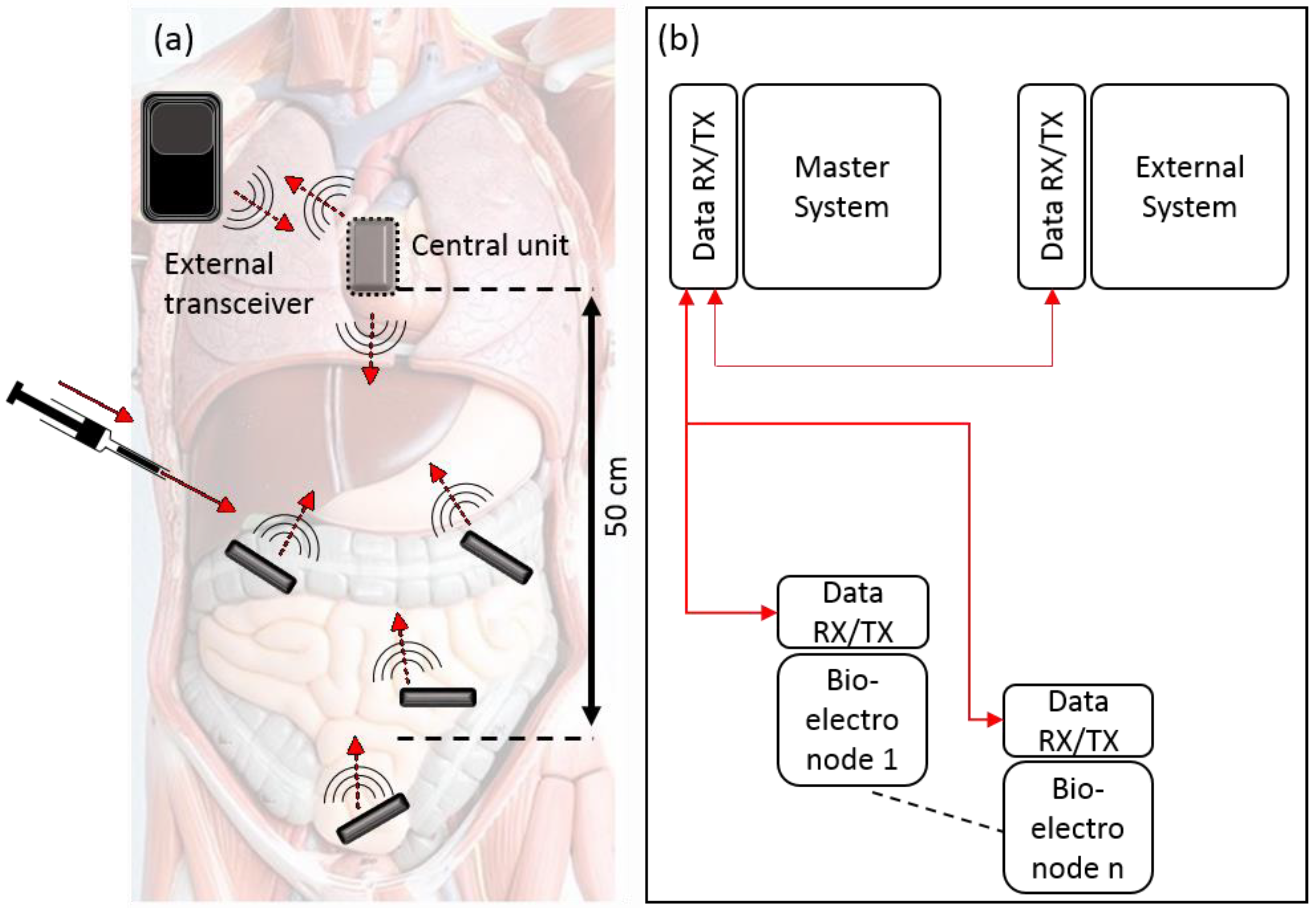 Sensors 20 00031 g001