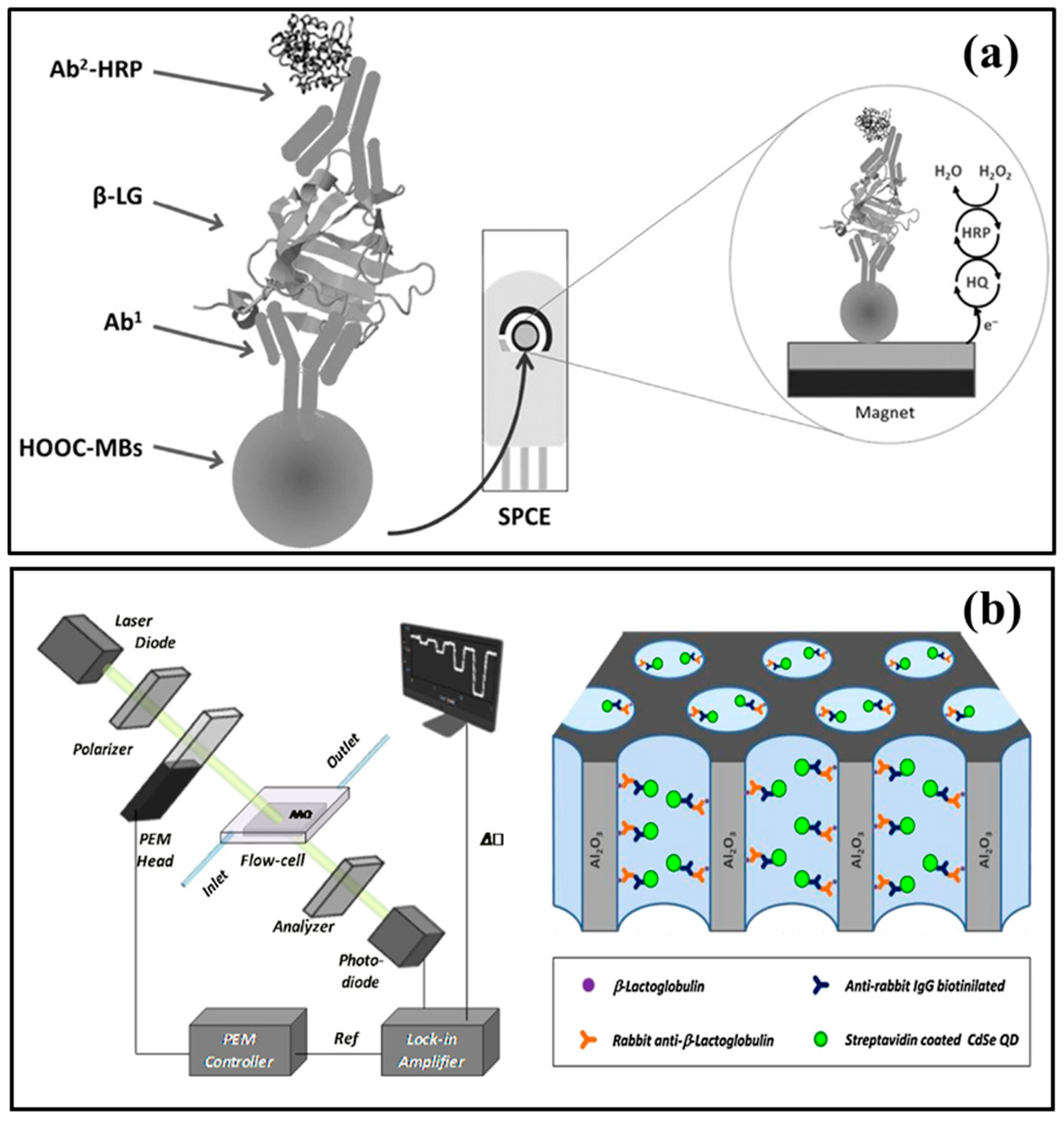 Sensors 20 00032 g001 Sensors 20 00032 g001