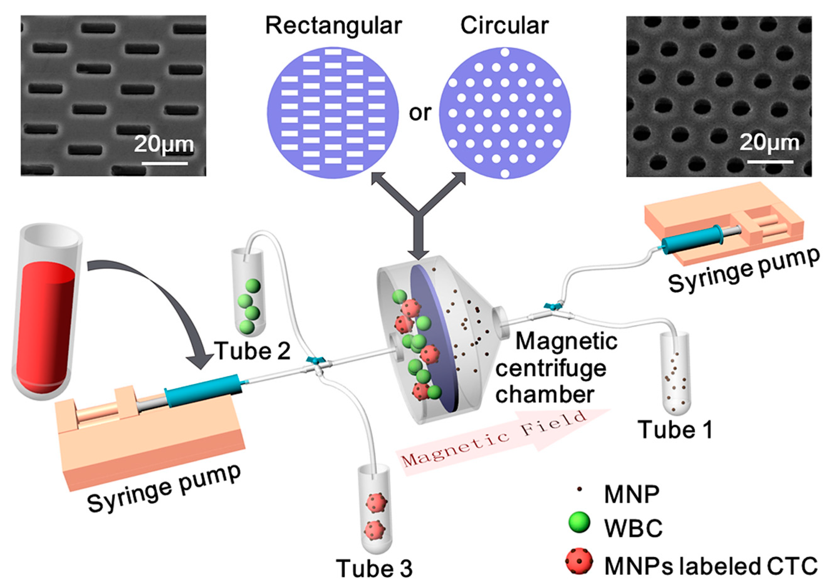 Sensors 20 00048 g001 Sensors 20 00048 g001