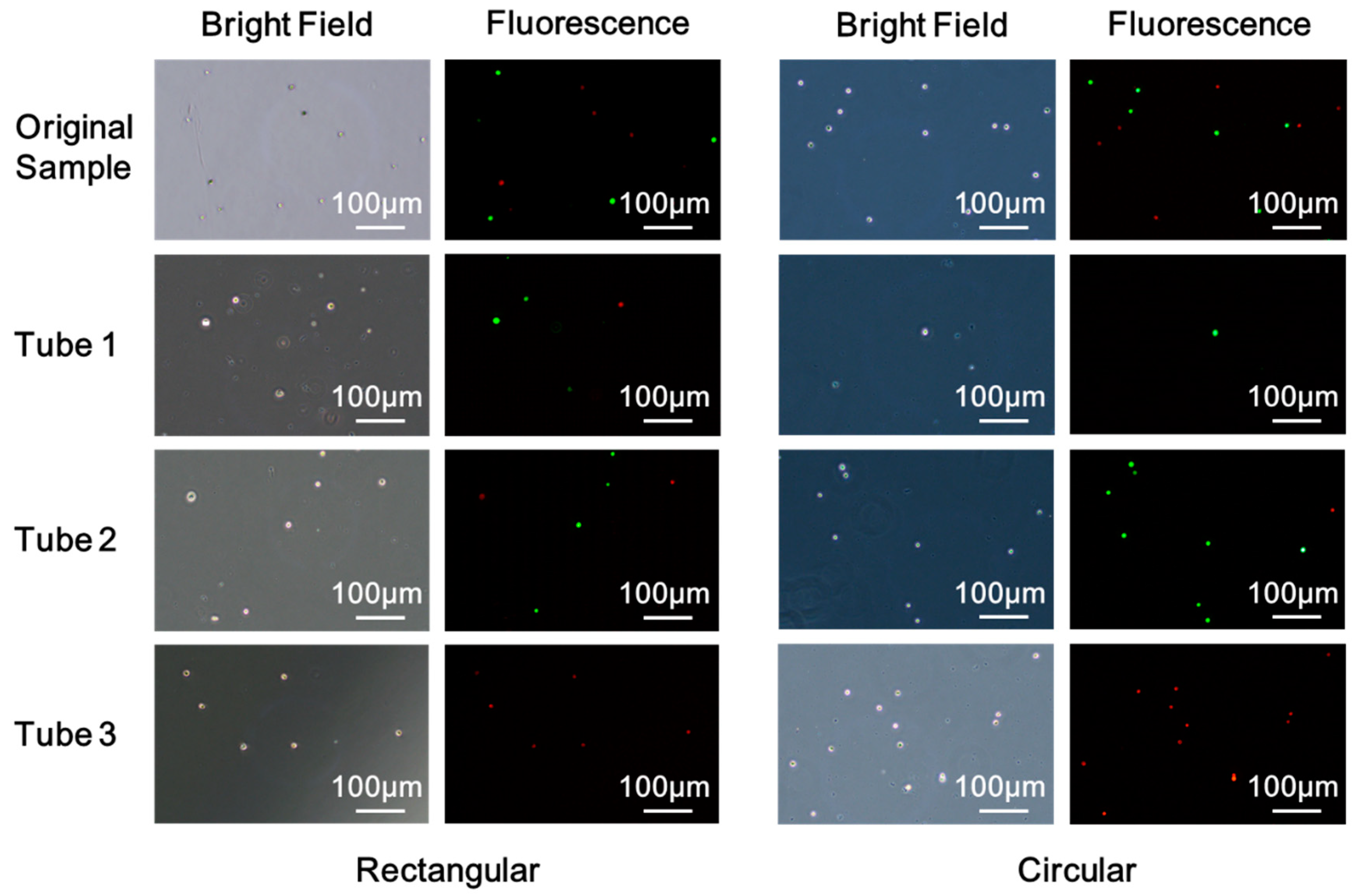 Sensors 20 00048 g007 Sensors 20 00048 g007