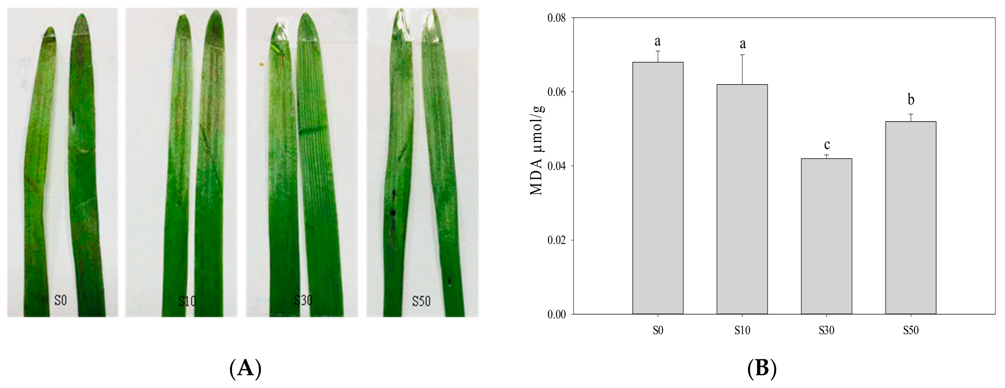 Sensors 20 00062 g006 Sensors 20 00062 g006