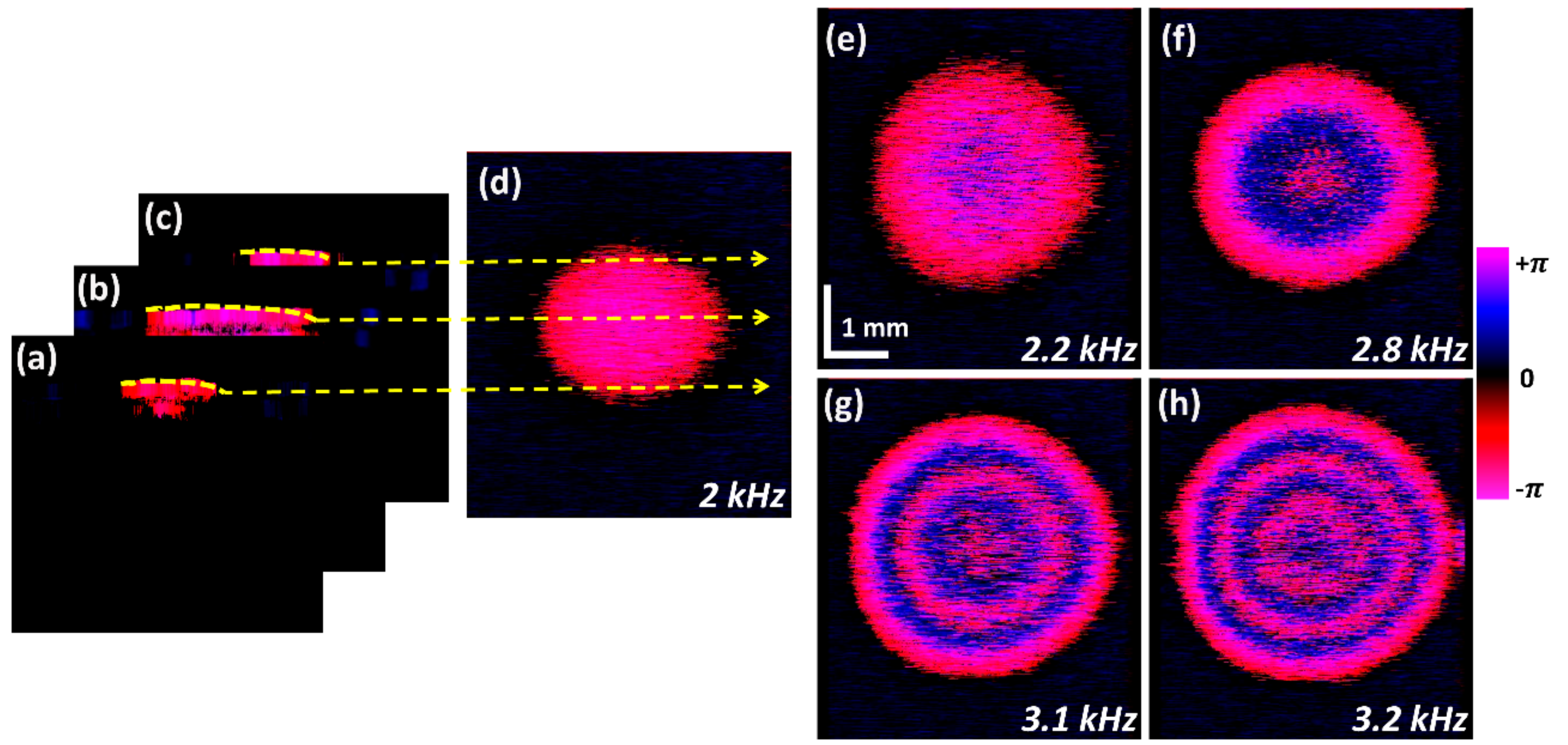 Sensors 20 00064 g005 Sensors 20 00064 g005