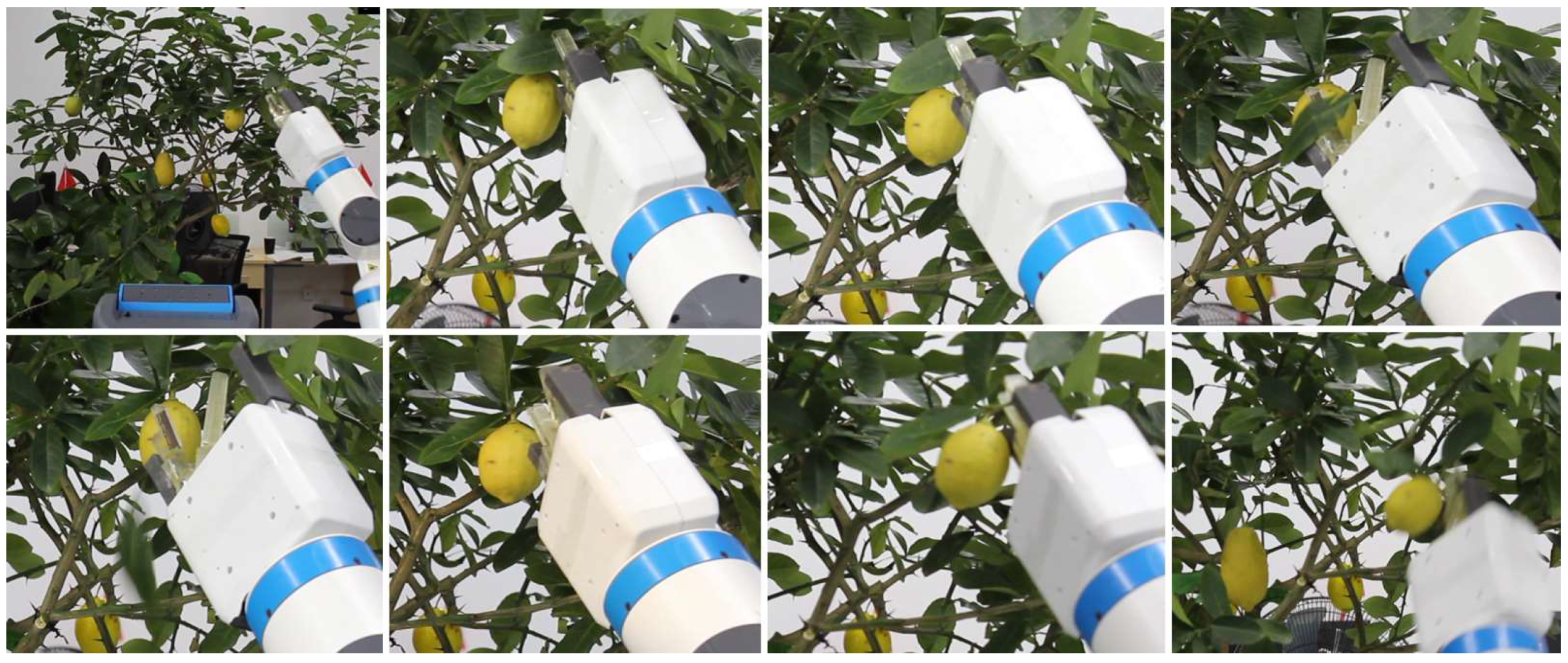 Sensors 20 00093 g015 Sensors 20 00093 g015