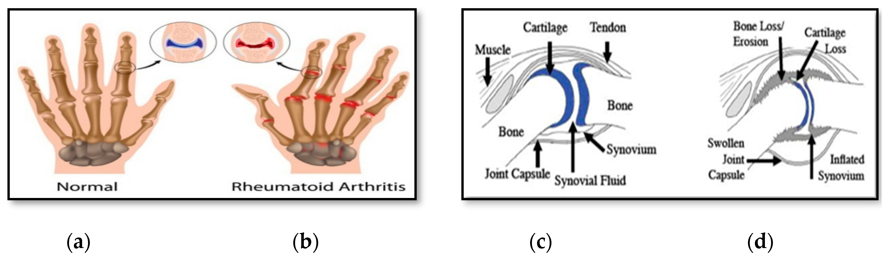 Sensors 20 00167 g001