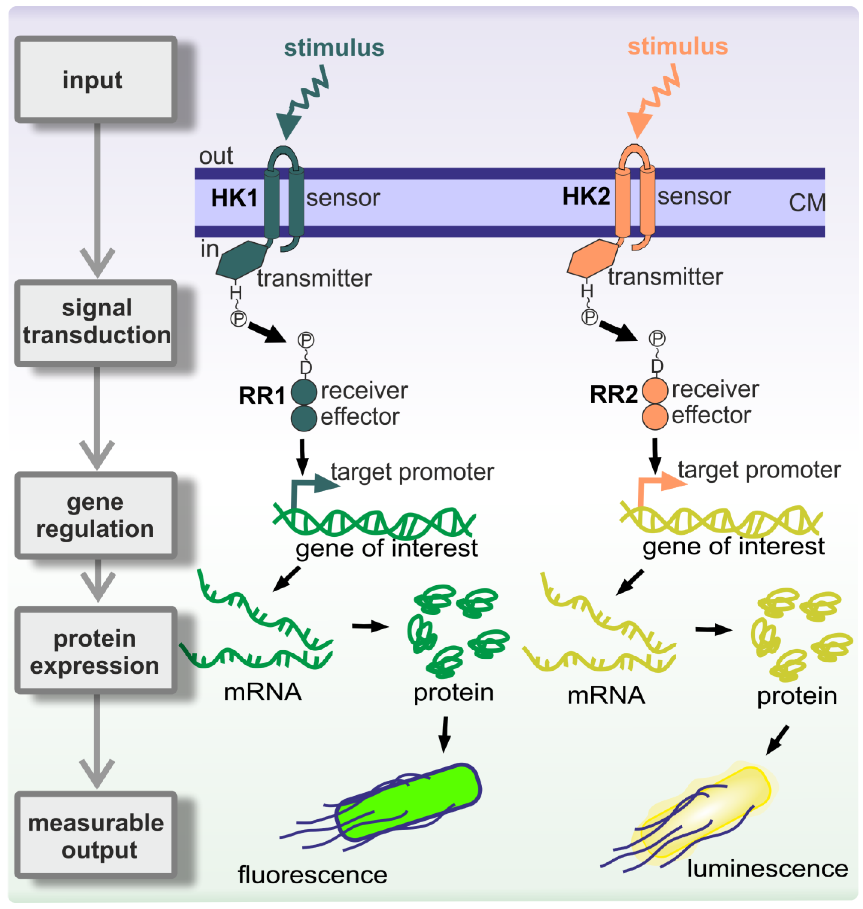 Sensors 20 00180 g002 Sensors 20 00180 g002