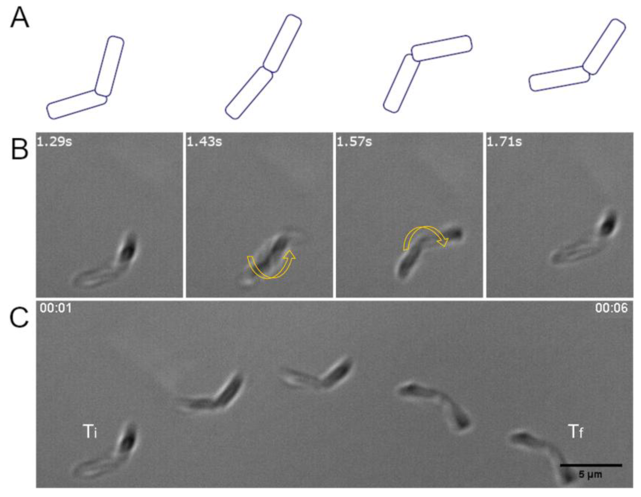 Sensors 20 00180 g003 Sensors 20 00180 g003