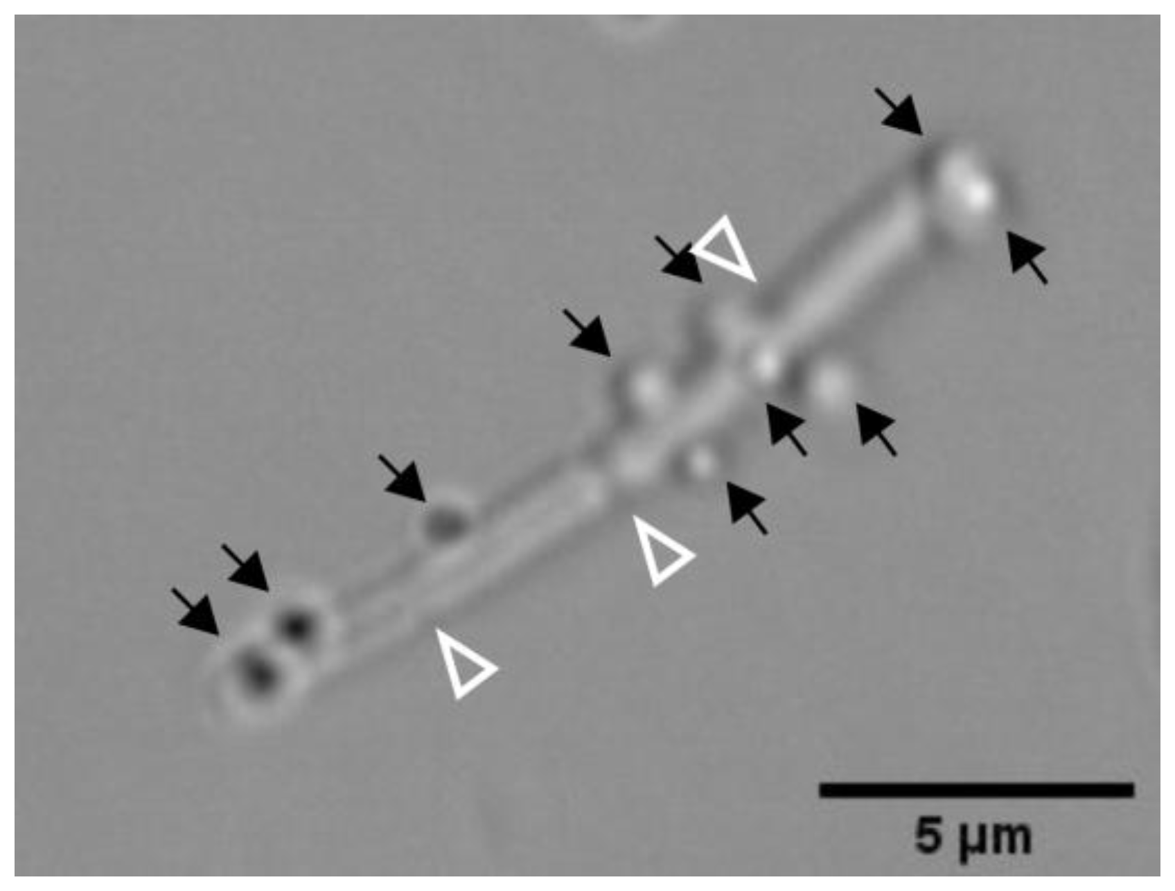 Sensors 20 00180 g004 Sensors 20 00180 g004