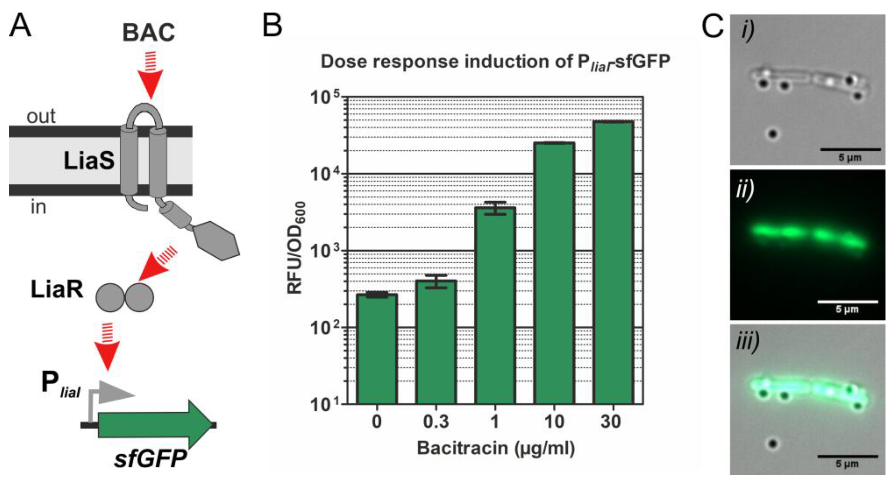Sensors 20 00180 g006 Sensors 20 00180 g006