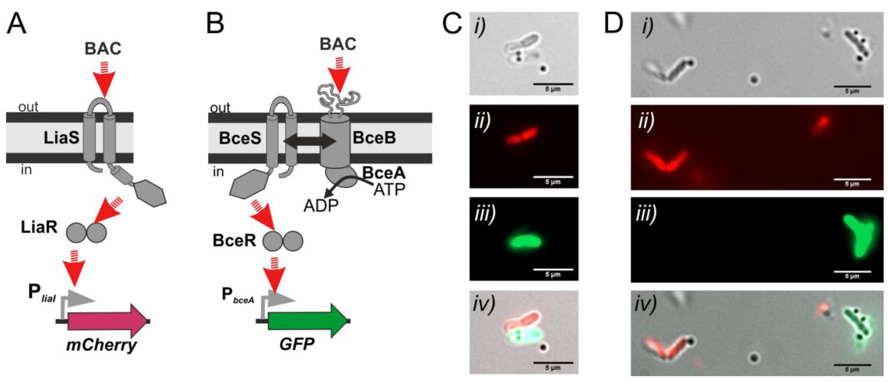 Sensors 20 00180 g007 Sensors 20 00180 g007