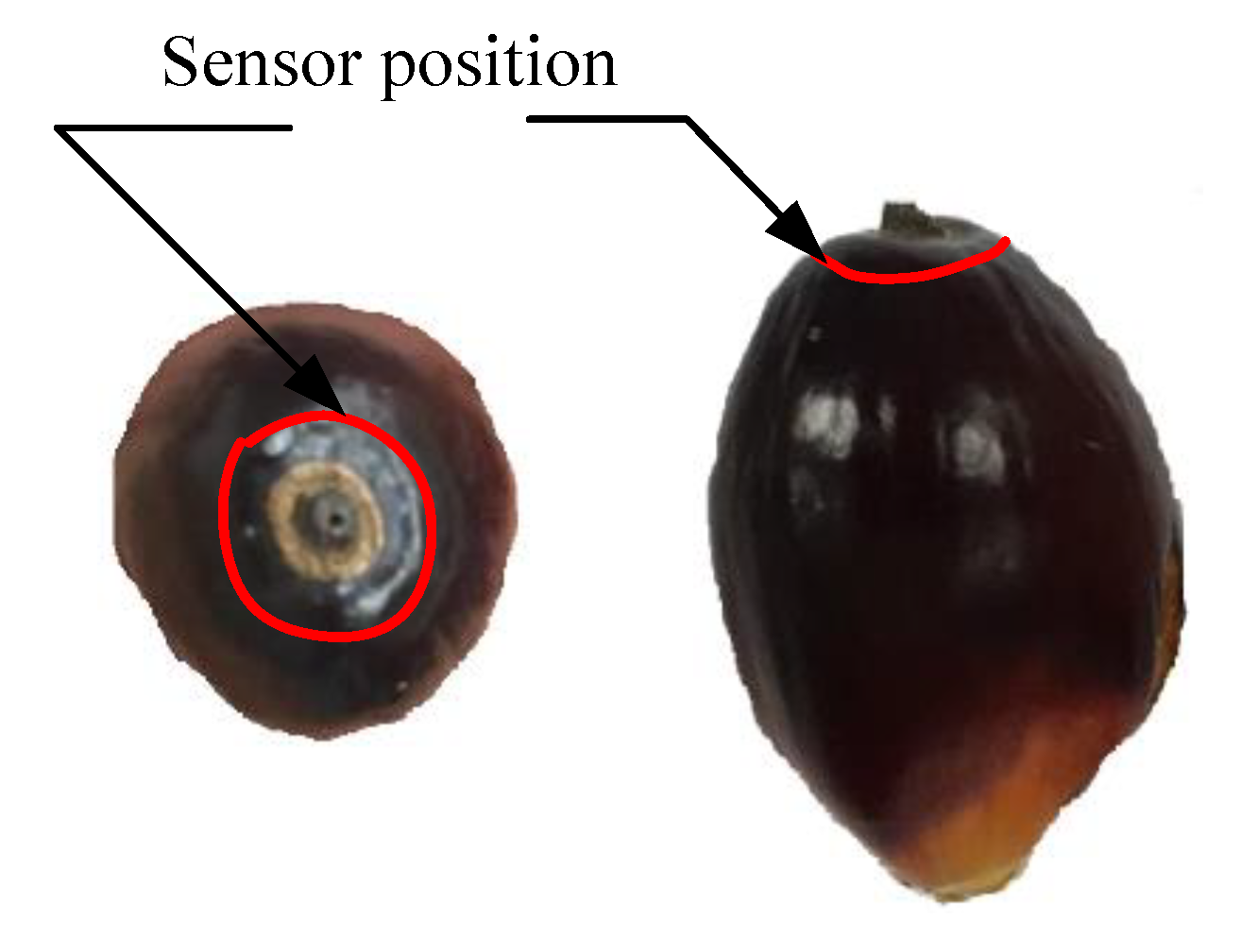 Sensors 20 00226 g006 Sensors 20 00226 g006