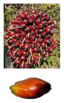 Sensors 20 00226 i006 Sensors 20 00226 i006