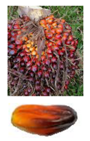 Sensors 20 00226 i008 Sensors 20 00226 i008