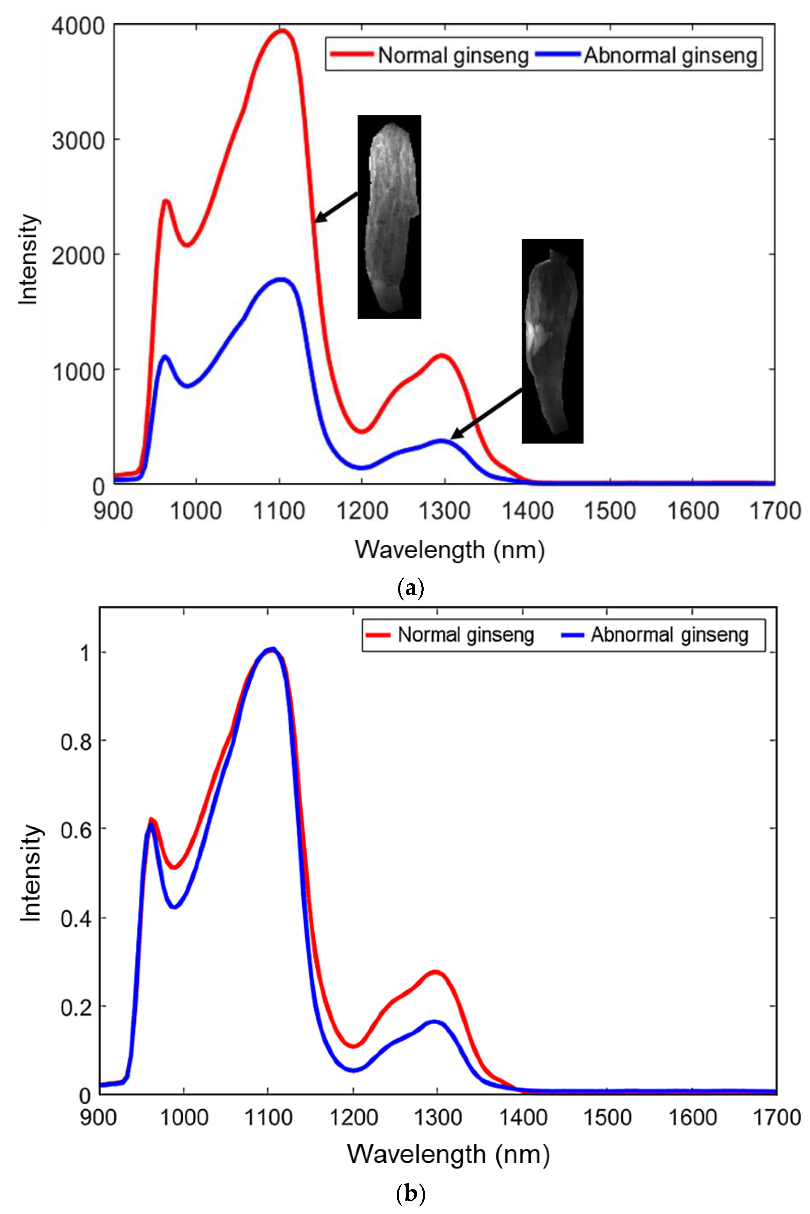 Sensors 20 00273 g004 Sensors 20 00273 g004