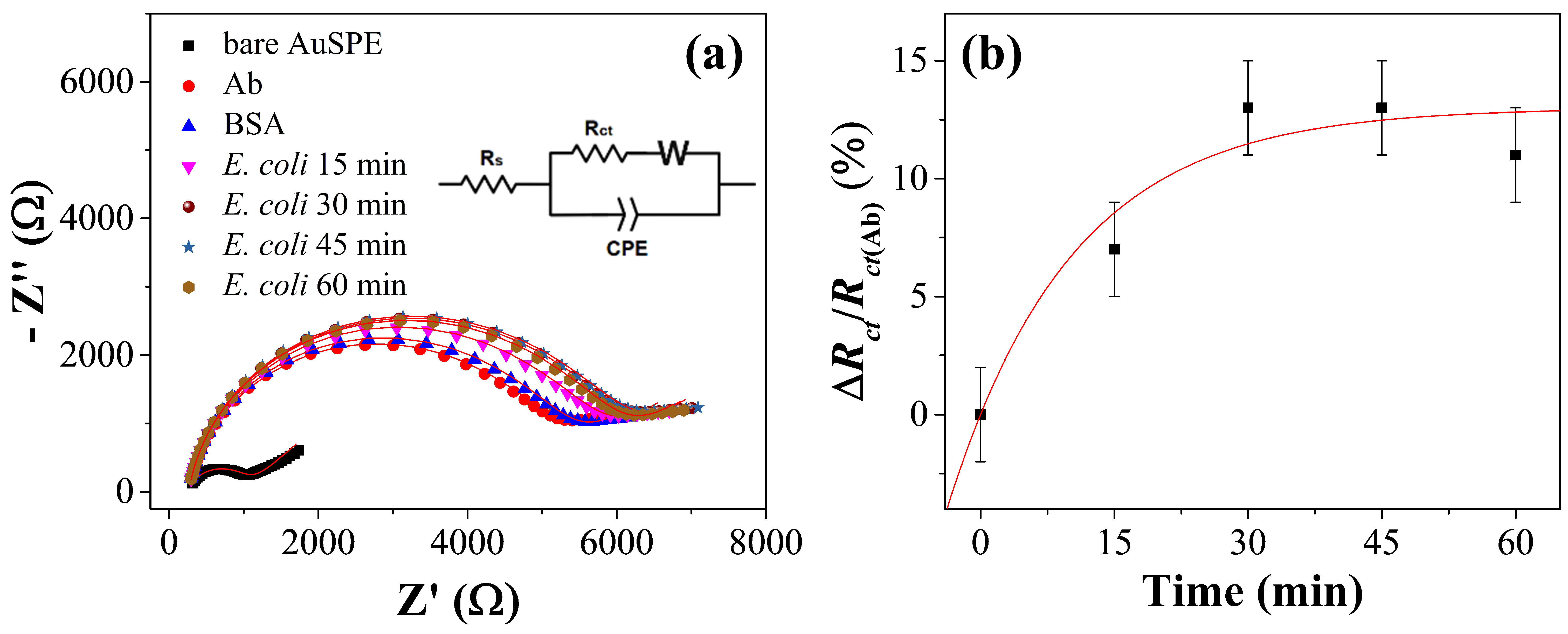 Sensors 20 00274 g004 Sensors 20 00274 g004