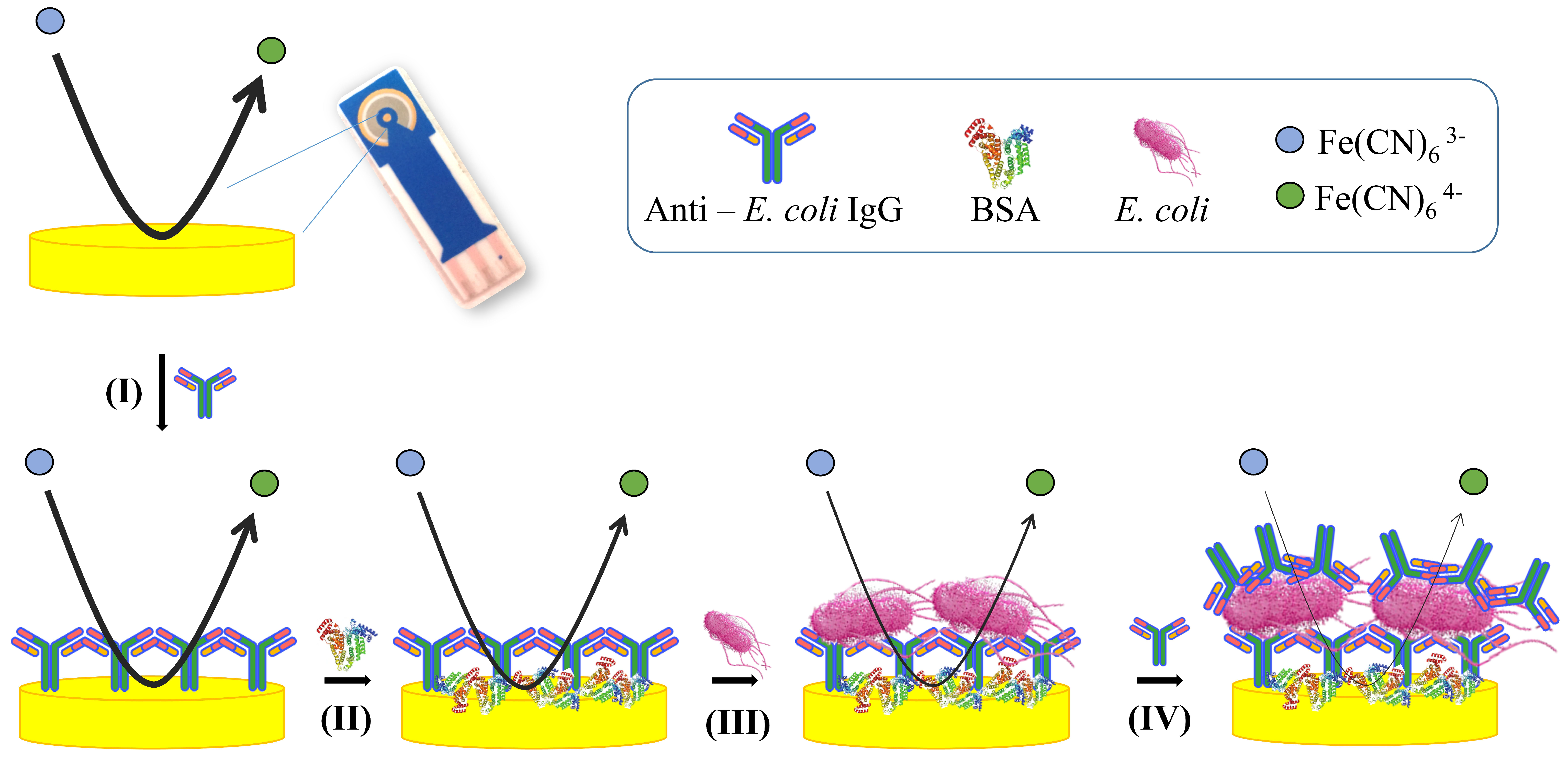Sensors 20 00274 sch001 Sensors 20 00274 sch001