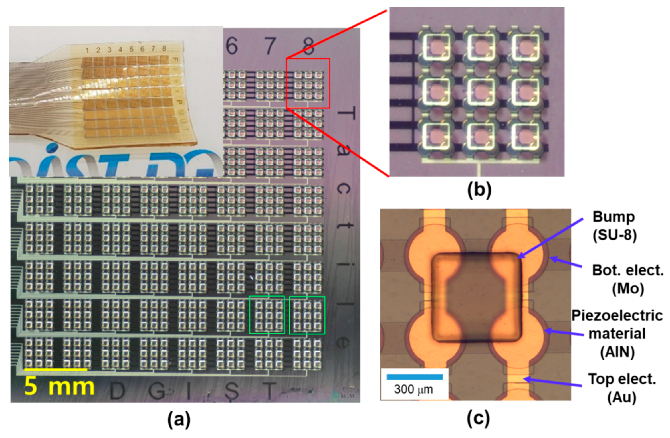 Sensors Free FullText Integrated Piezoelectric AlN Thin Film with