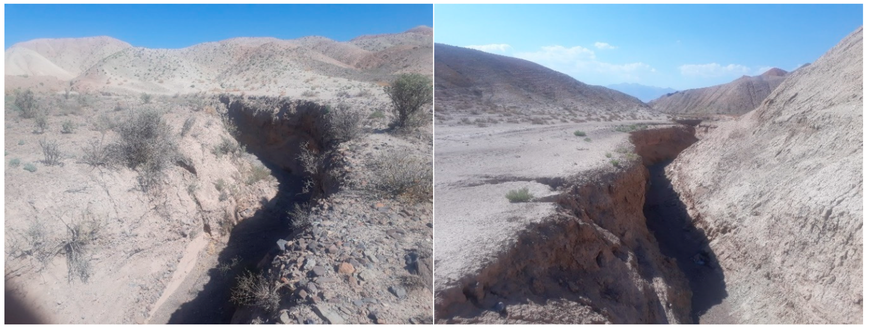 Sensors 20 00335 g002 Sensors 20 00335 g002