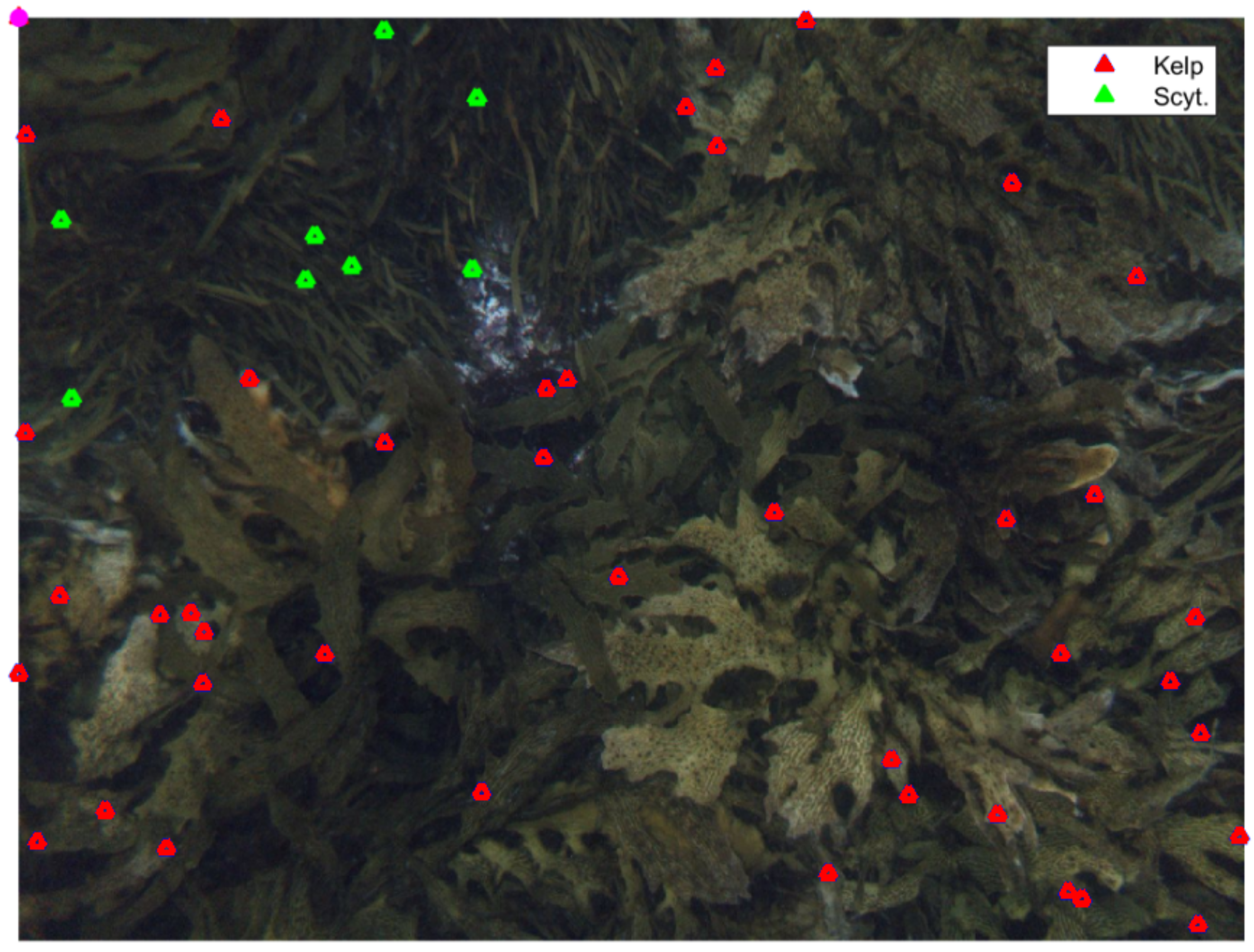 Sensors 20 00447 g008