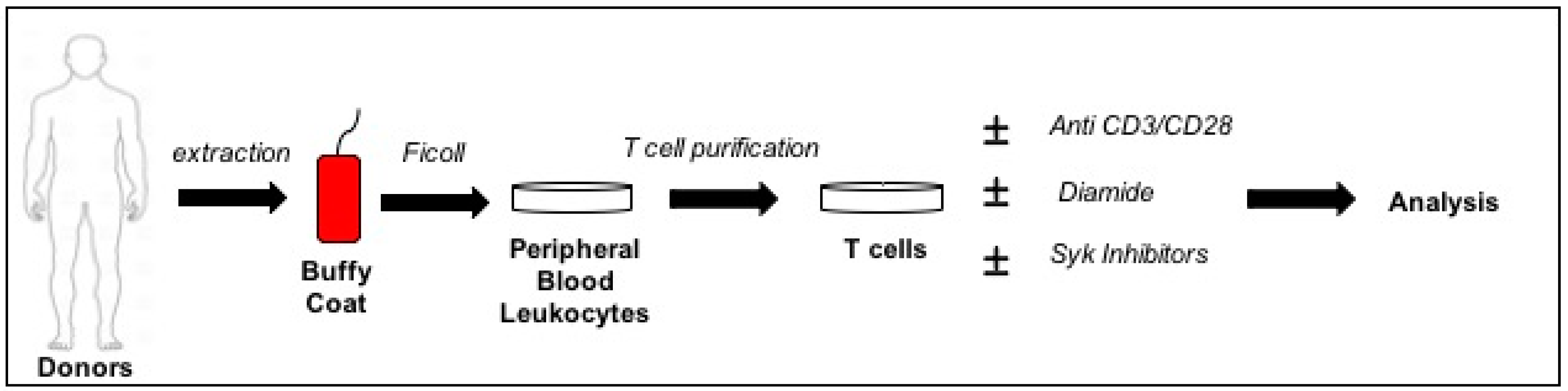 Sensors 20 00466 g001 Sensors 20 00466 g001
