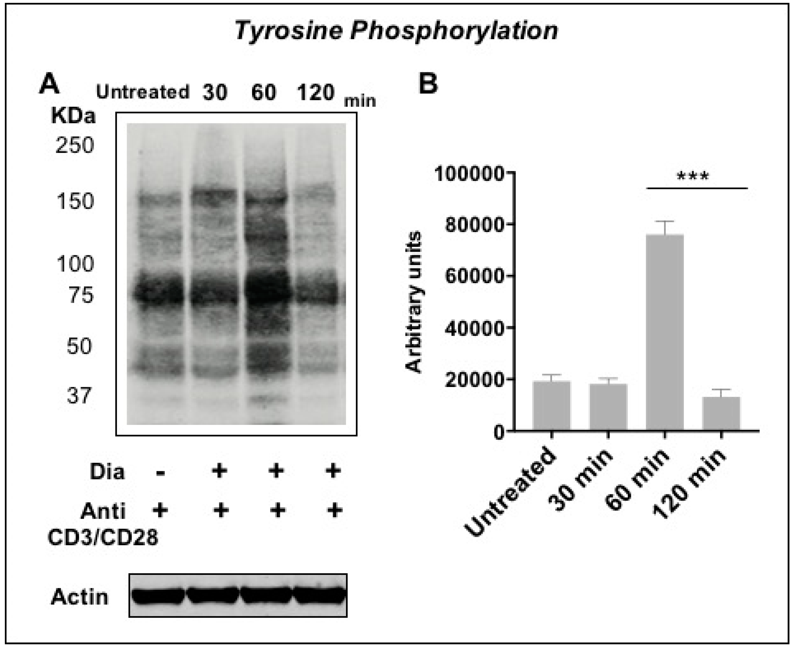 Sensors 20 00466 g003 Sensors 20 00466 g003