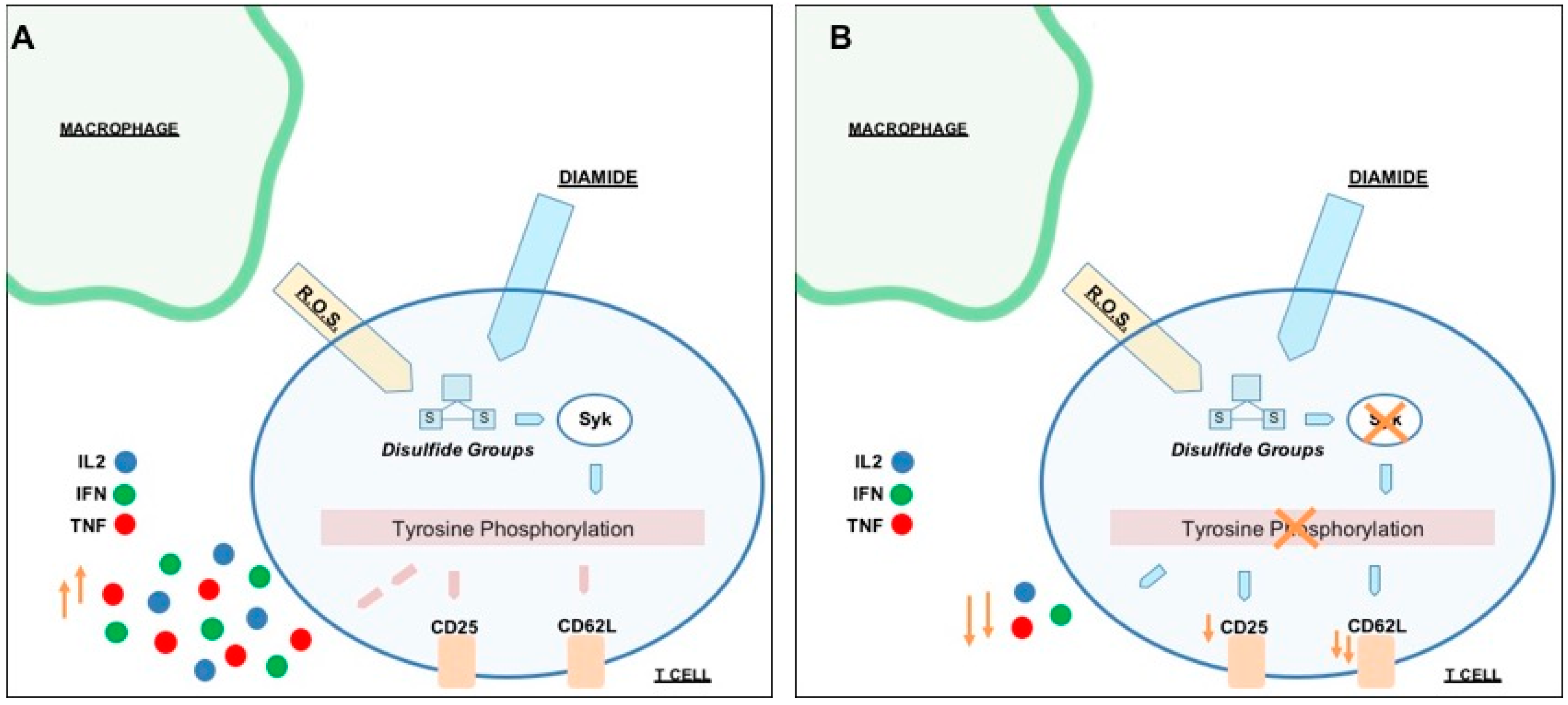 Sensors 20 00466 g008 Sensors 20 00466 g008