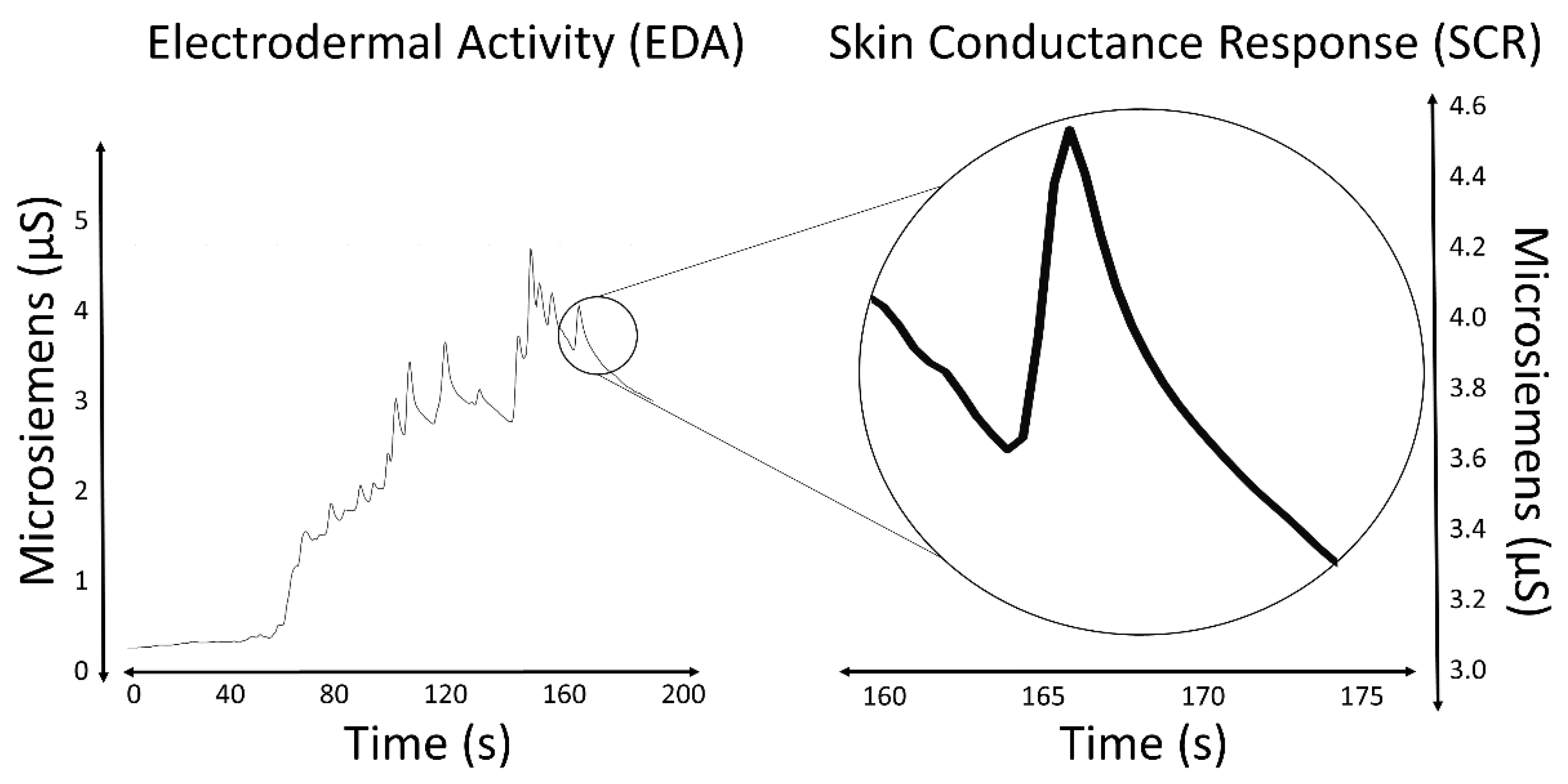 Sensors 20 00479 g001 Sensors 20 00479 g001