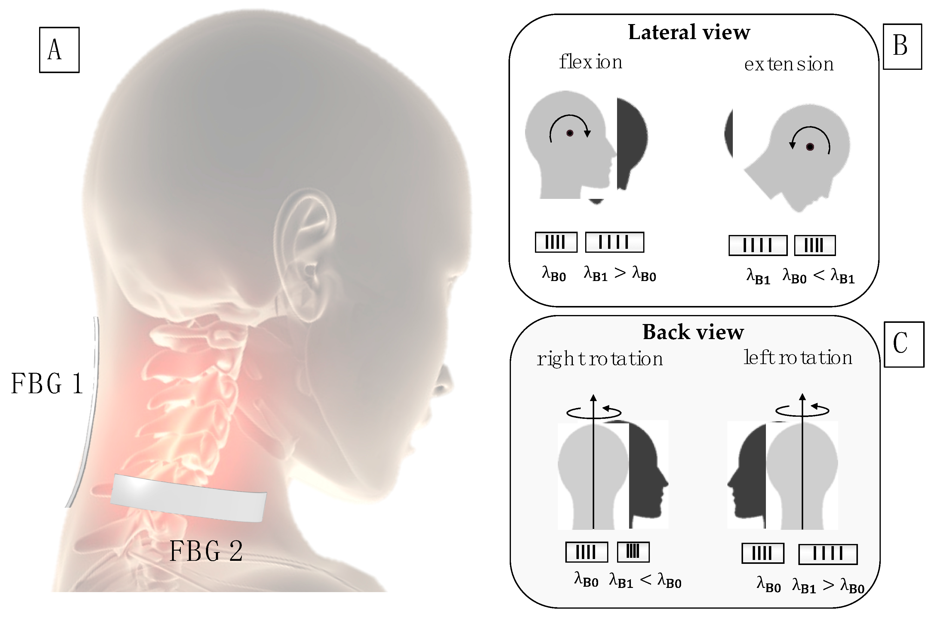 Sensors 20 00536 g002