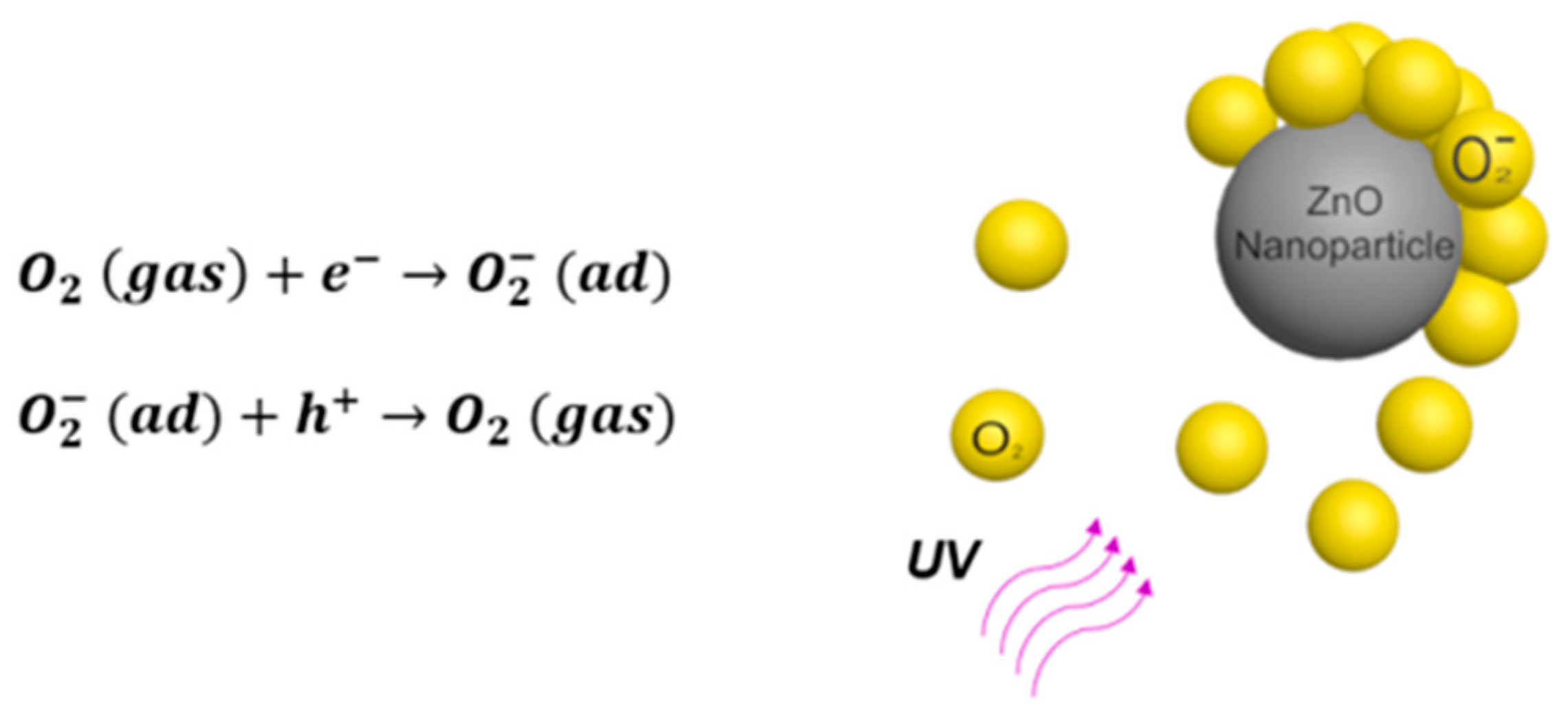 Sensors 20 00562 g001 Sensors 20 00562 g001