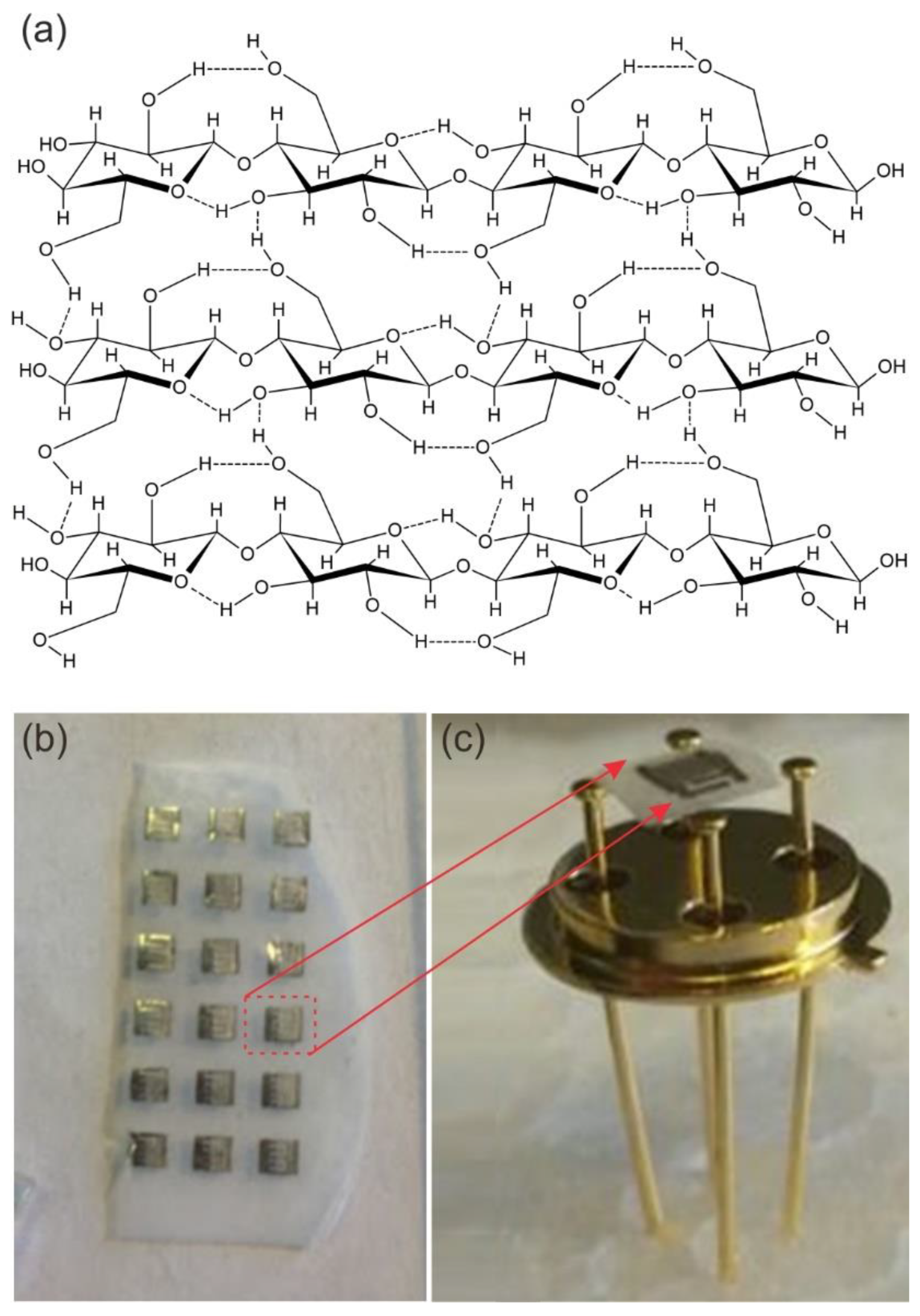 Sensors 20 00579 g002 Sensors 20 00579 g002