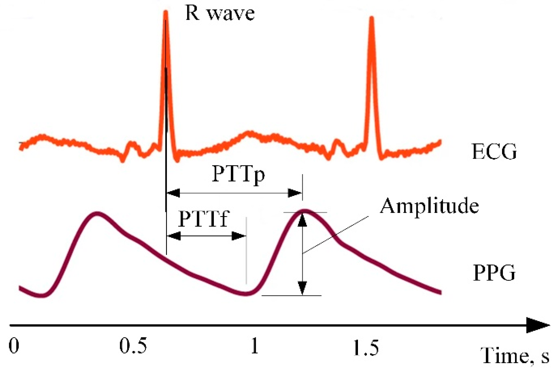 Sensors 20 00592 g009